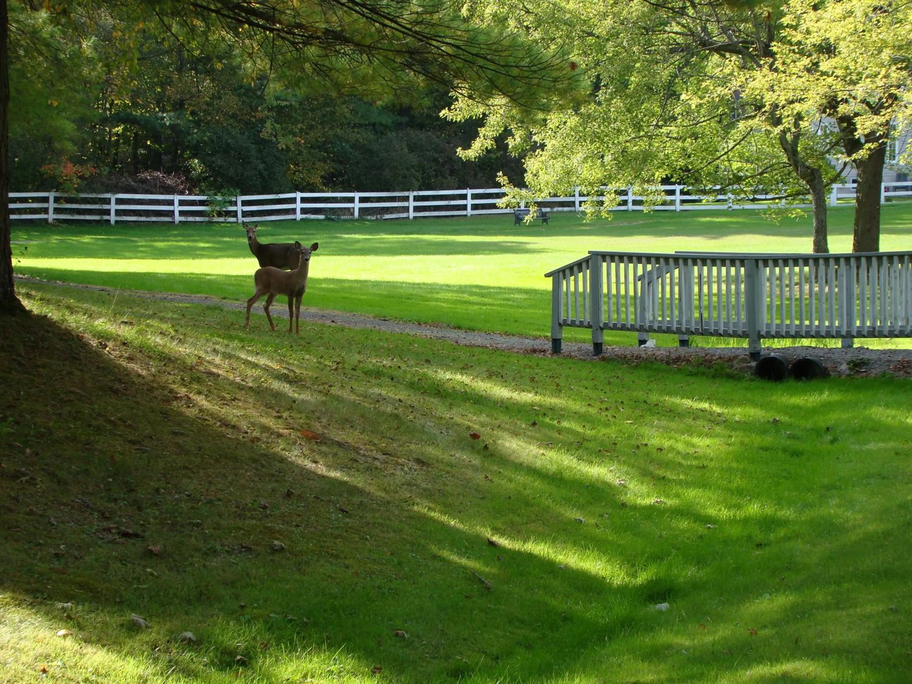 Other in Colonial Resort-1000Islands