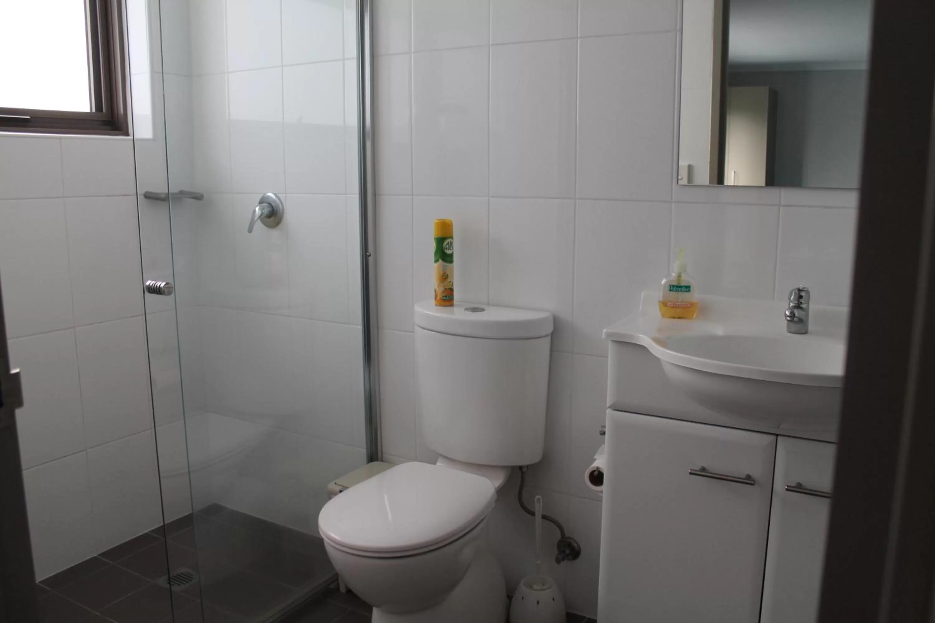 Toilet in Strathfield Executive Accommodation