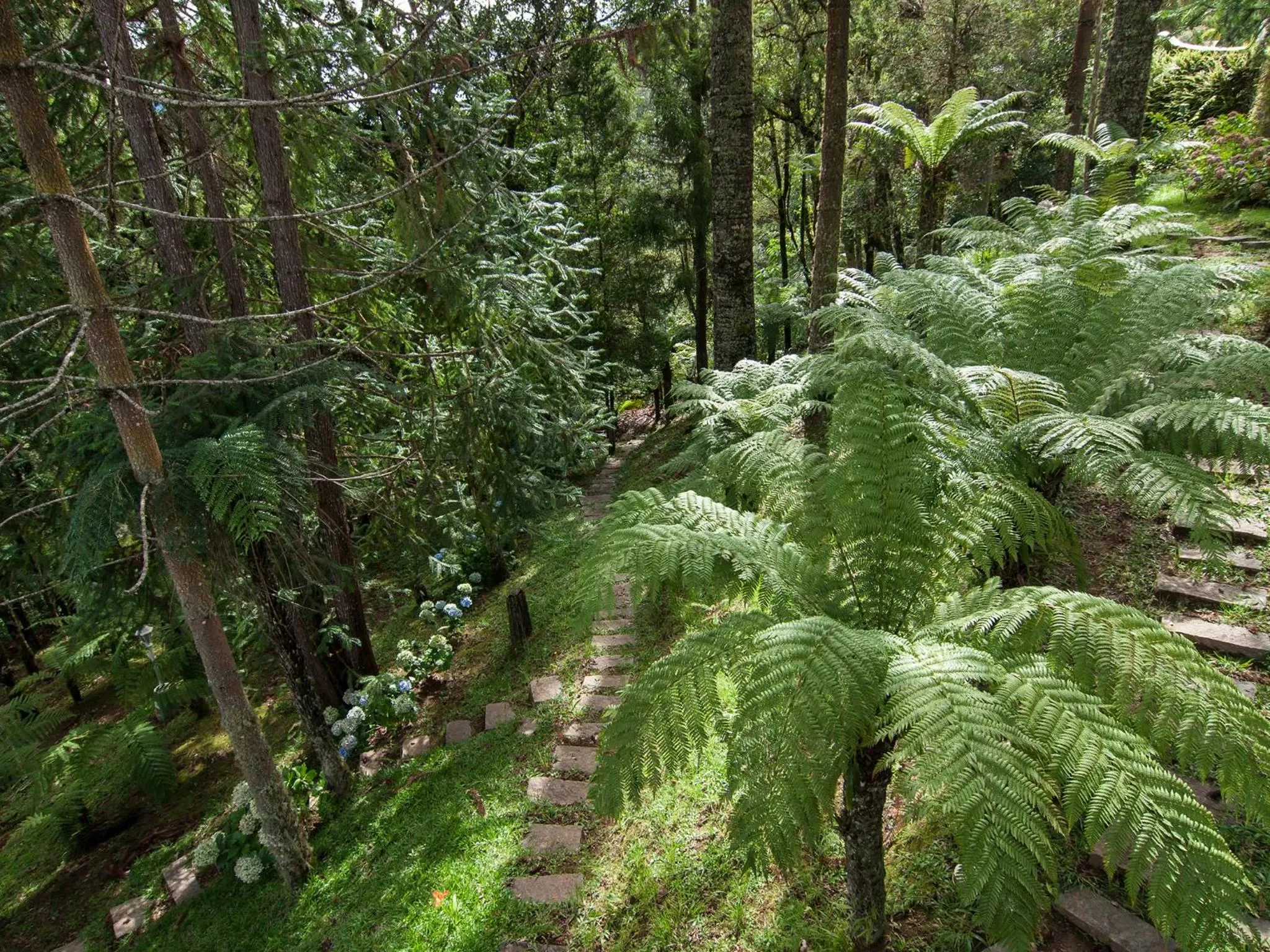 Garden, Natural Landscape in Pousada Ricanto Amore Mio