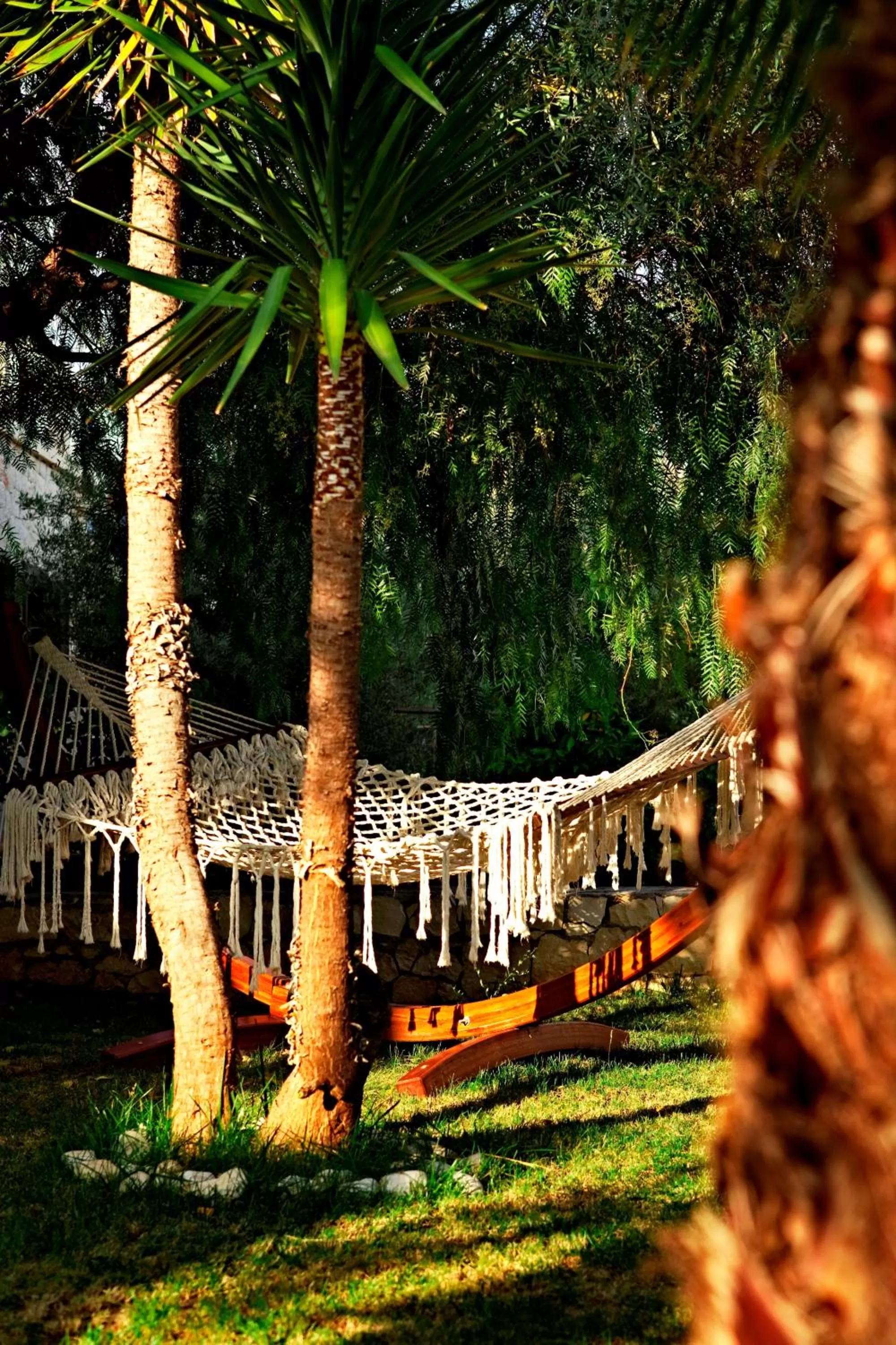 Facade/entrance in Olea Nova Hotel