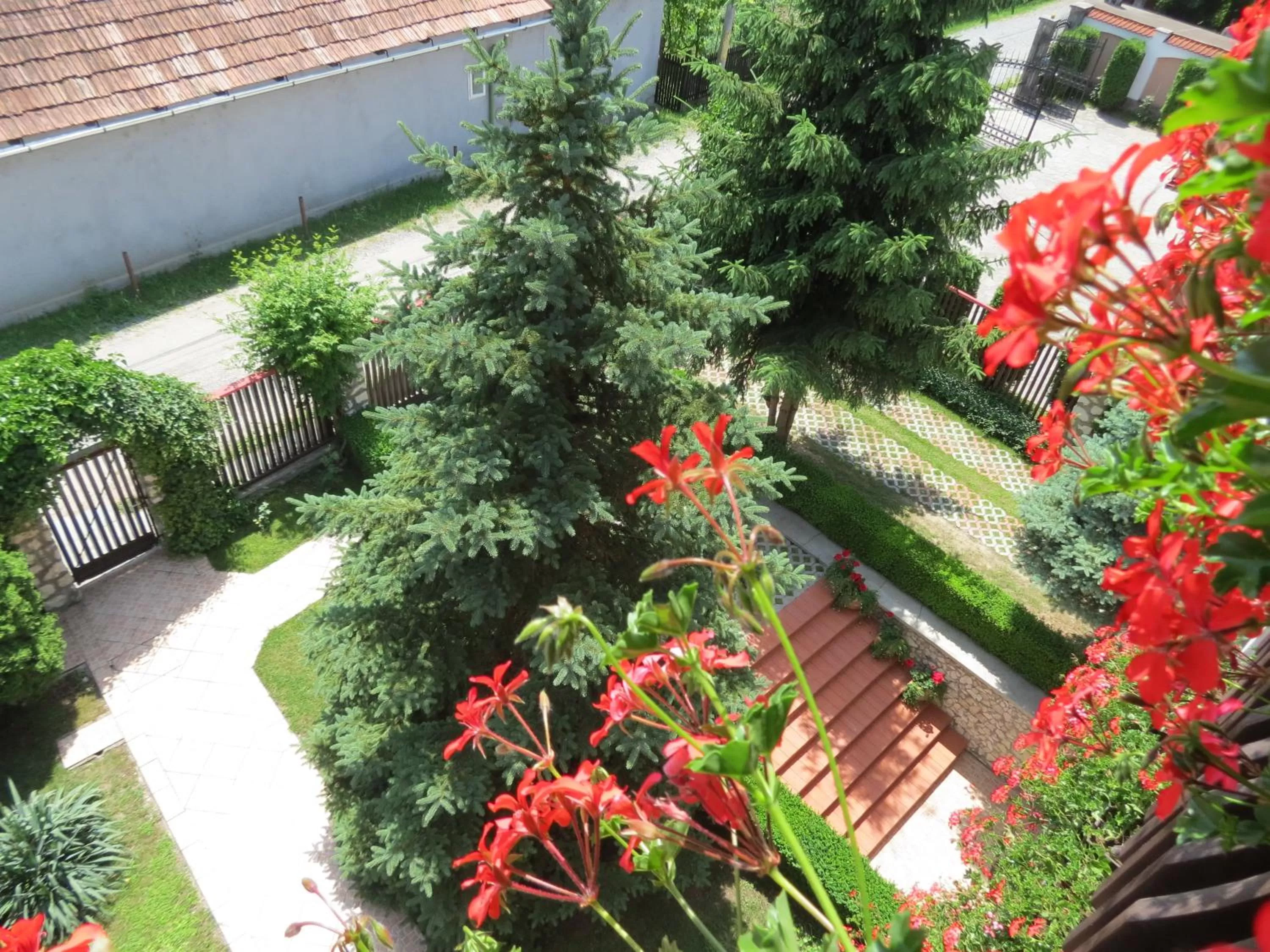 Street view in Csaki Vendeghaz