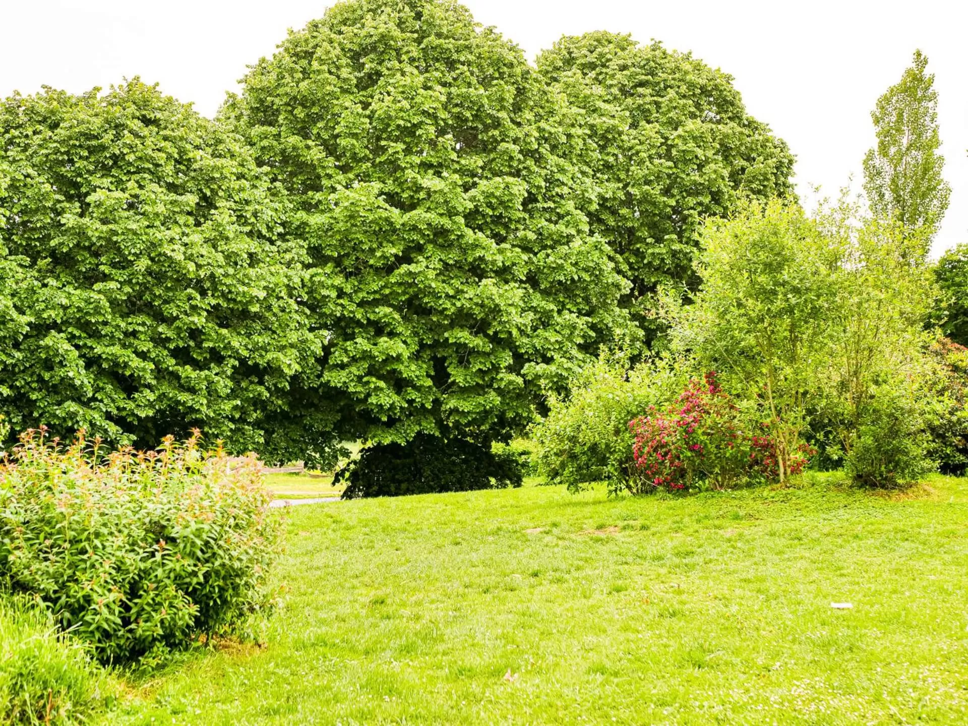 Garden in Hotel du Parc - Chantepie