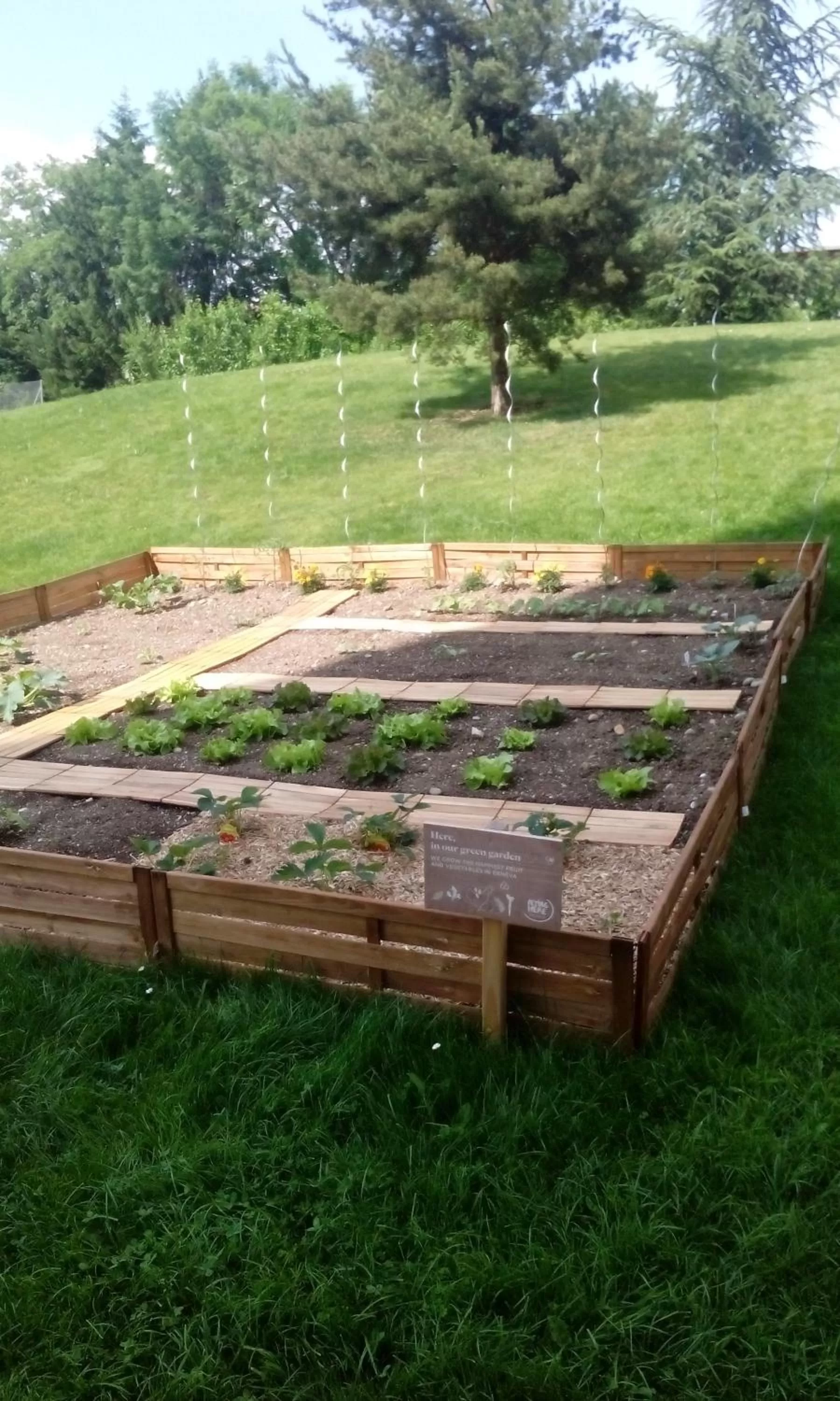 Garden in Novotel Suites Genève Aéroport