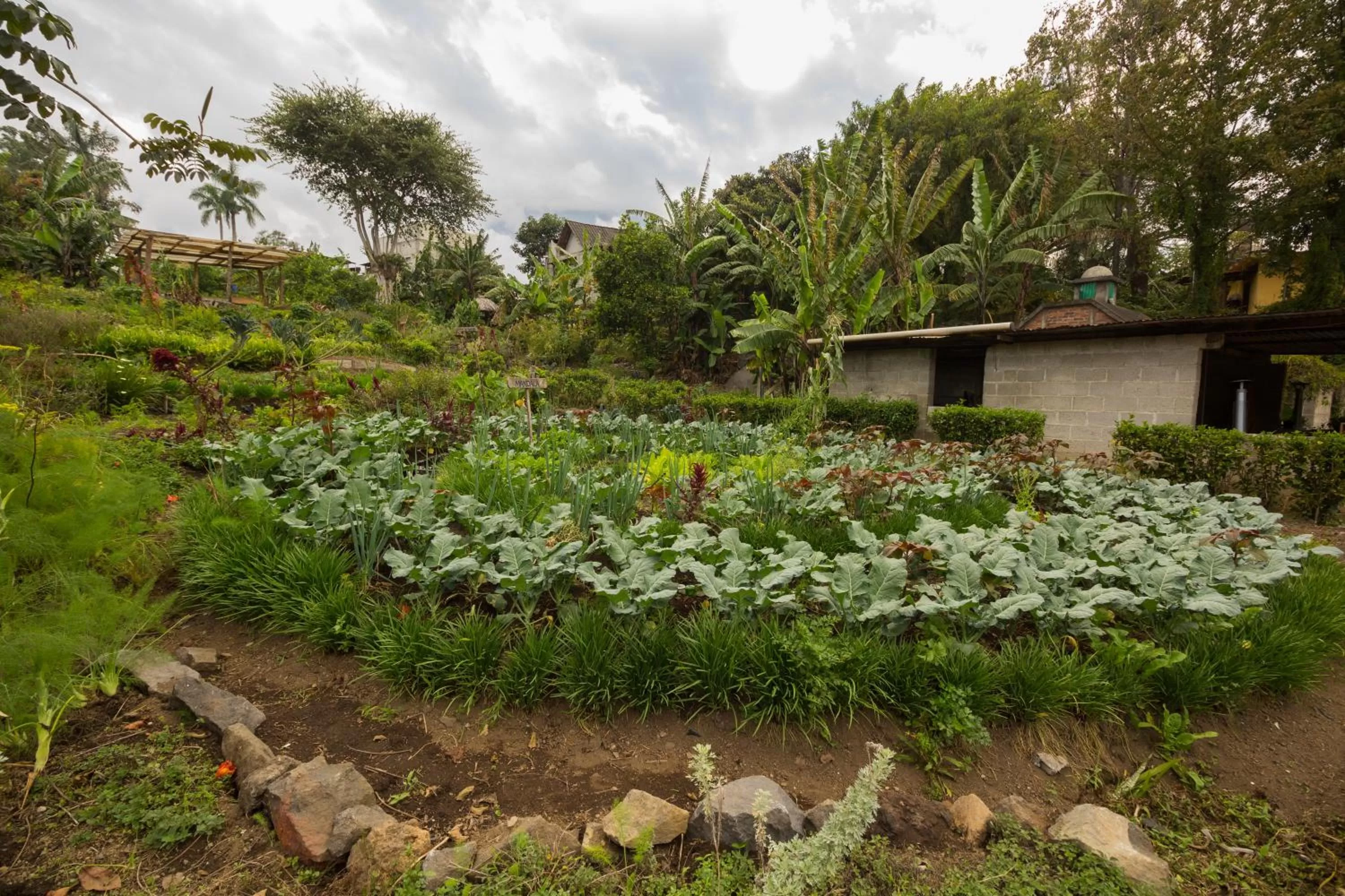 Garden, Property Building in Hotel Toliman