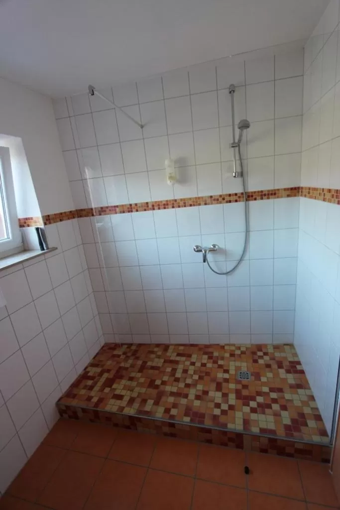 Shower, Bathroom in Hotel Landgasthof Zur Alten Scheune