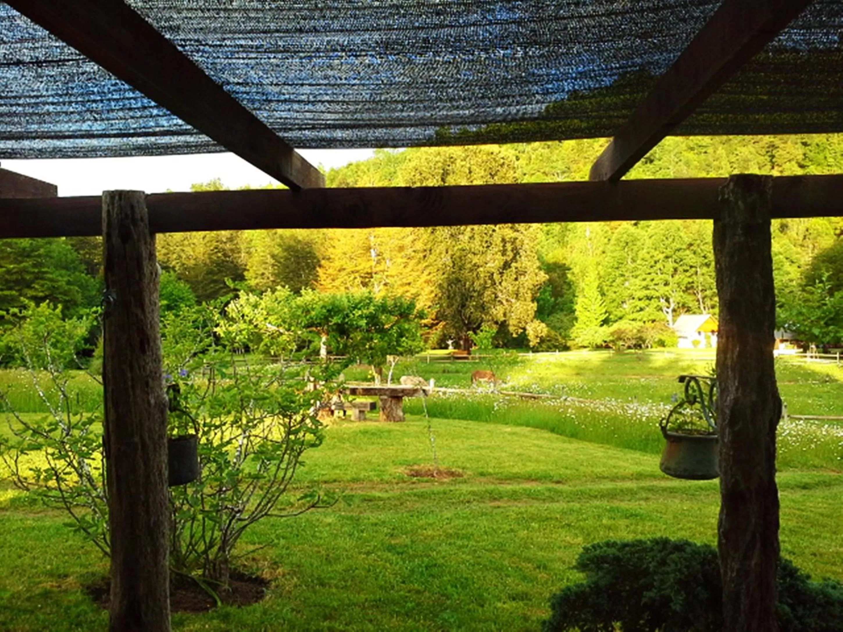 Garden view in Hotel Salto del Carileufu