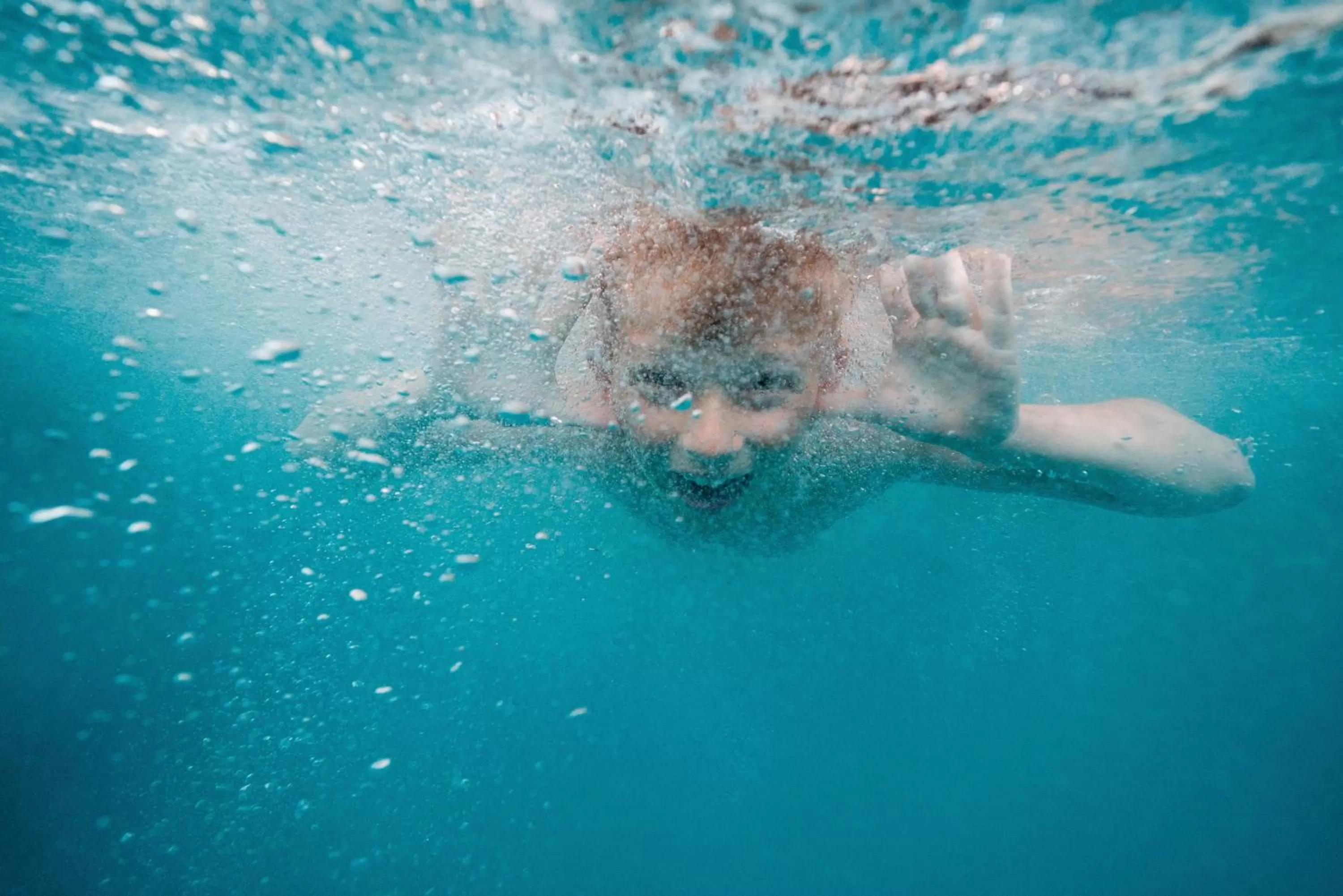 Swimming pool, Other Animals in Novotel Thalassa Ile d'Oléron