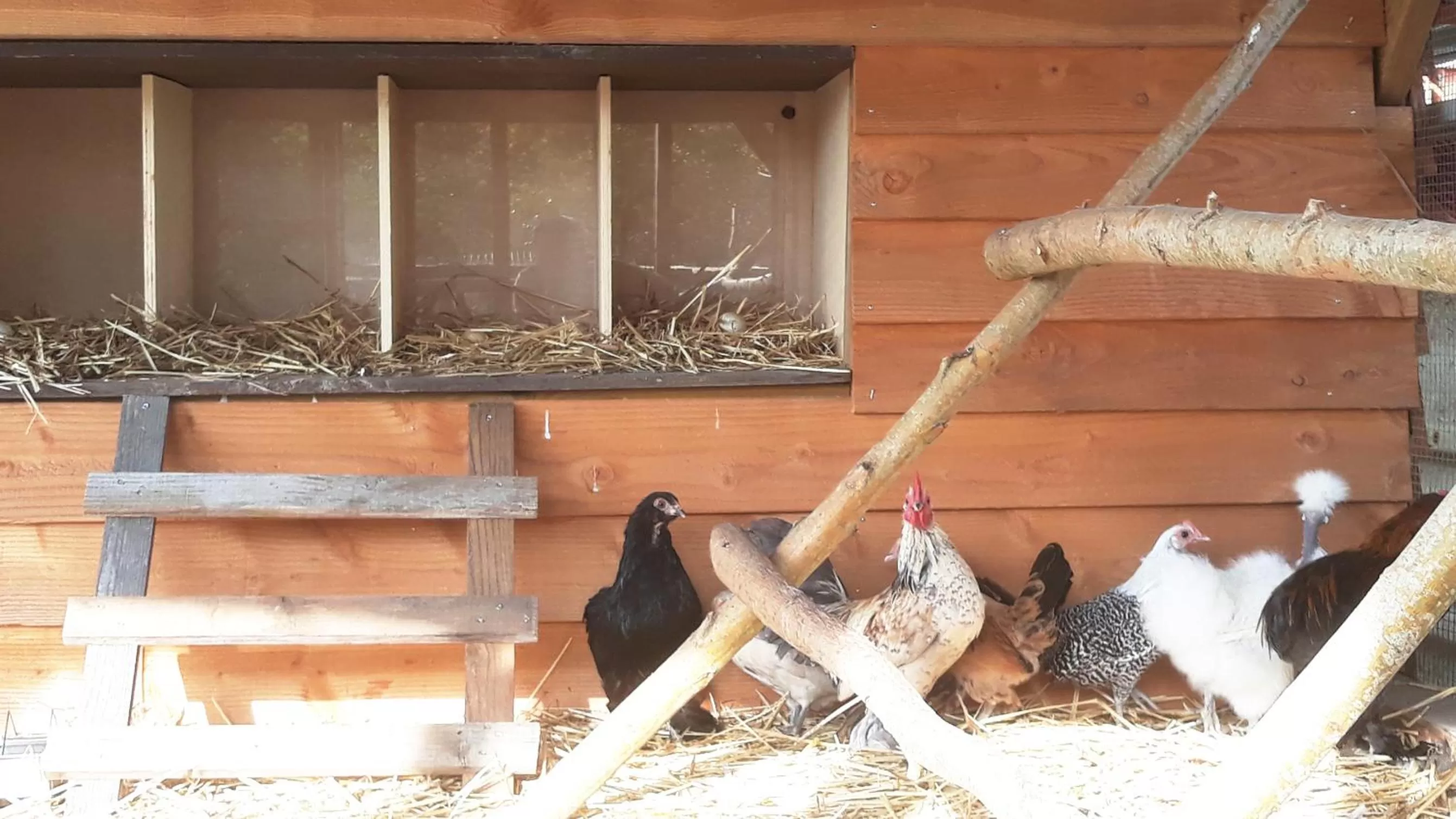 Natural landscape in Le jardin des 4 saisons
