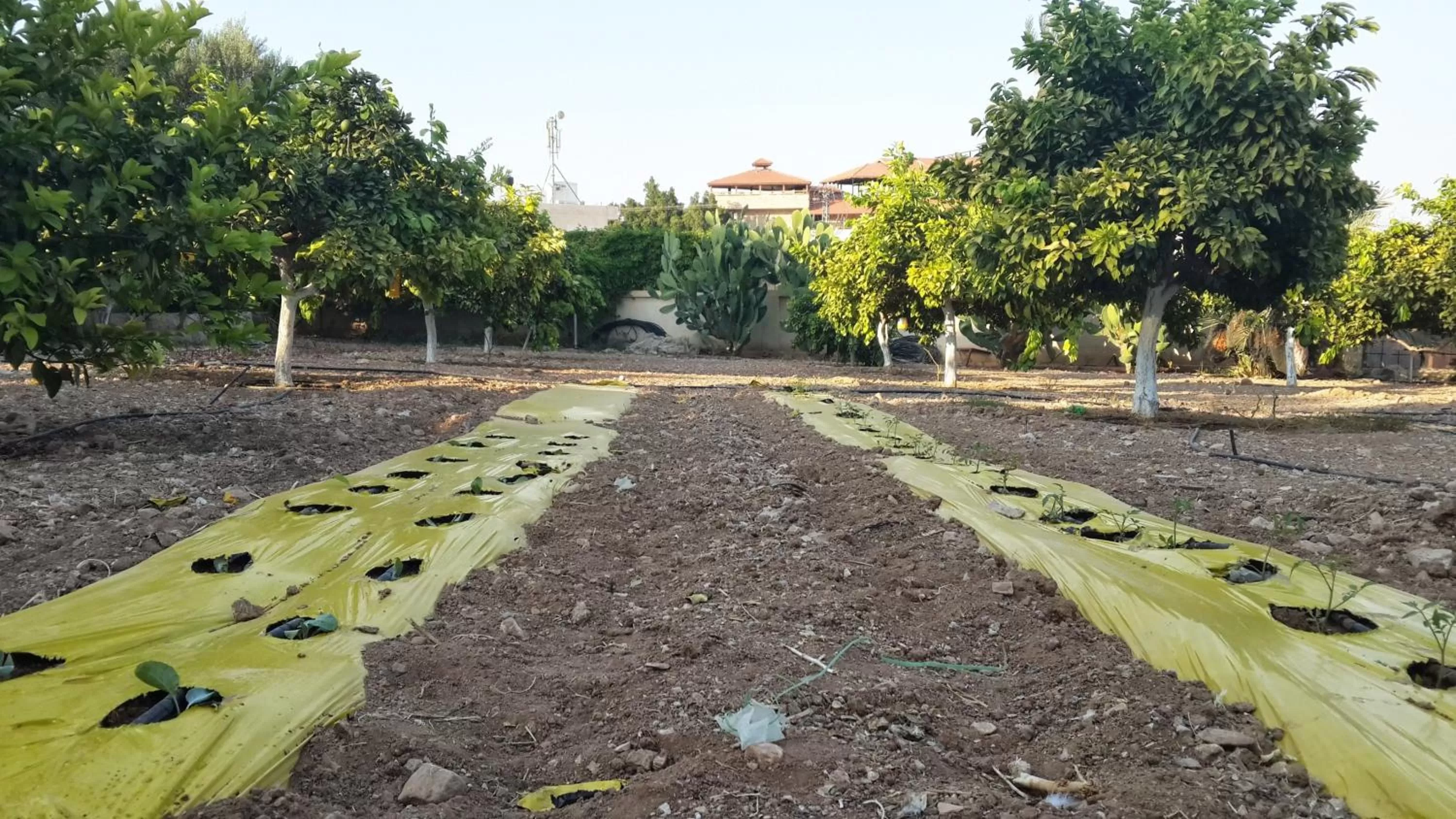 Garden, Beach in Auberg-Inn Guesthouse