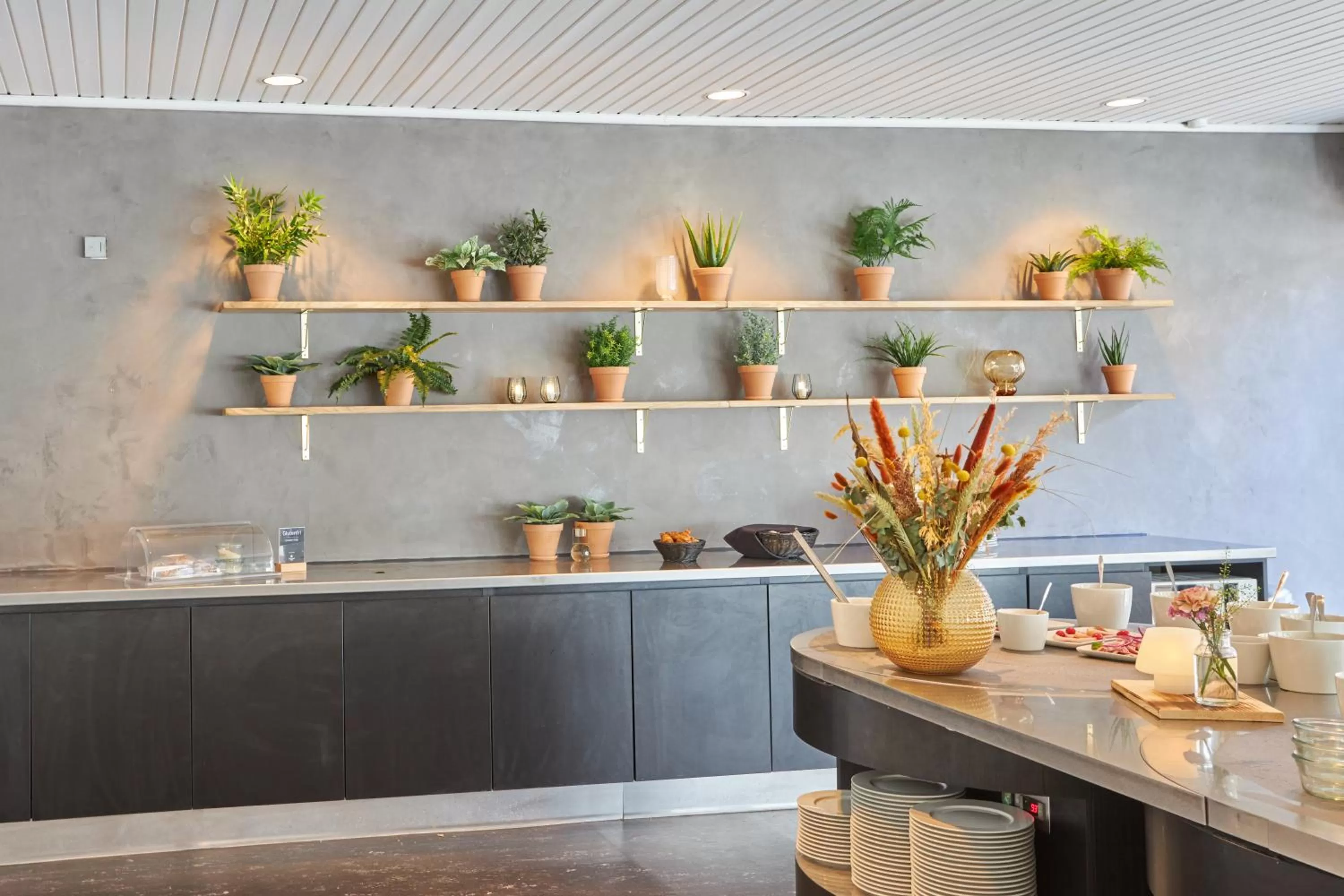 Breakfast in Color Hotel Skagen