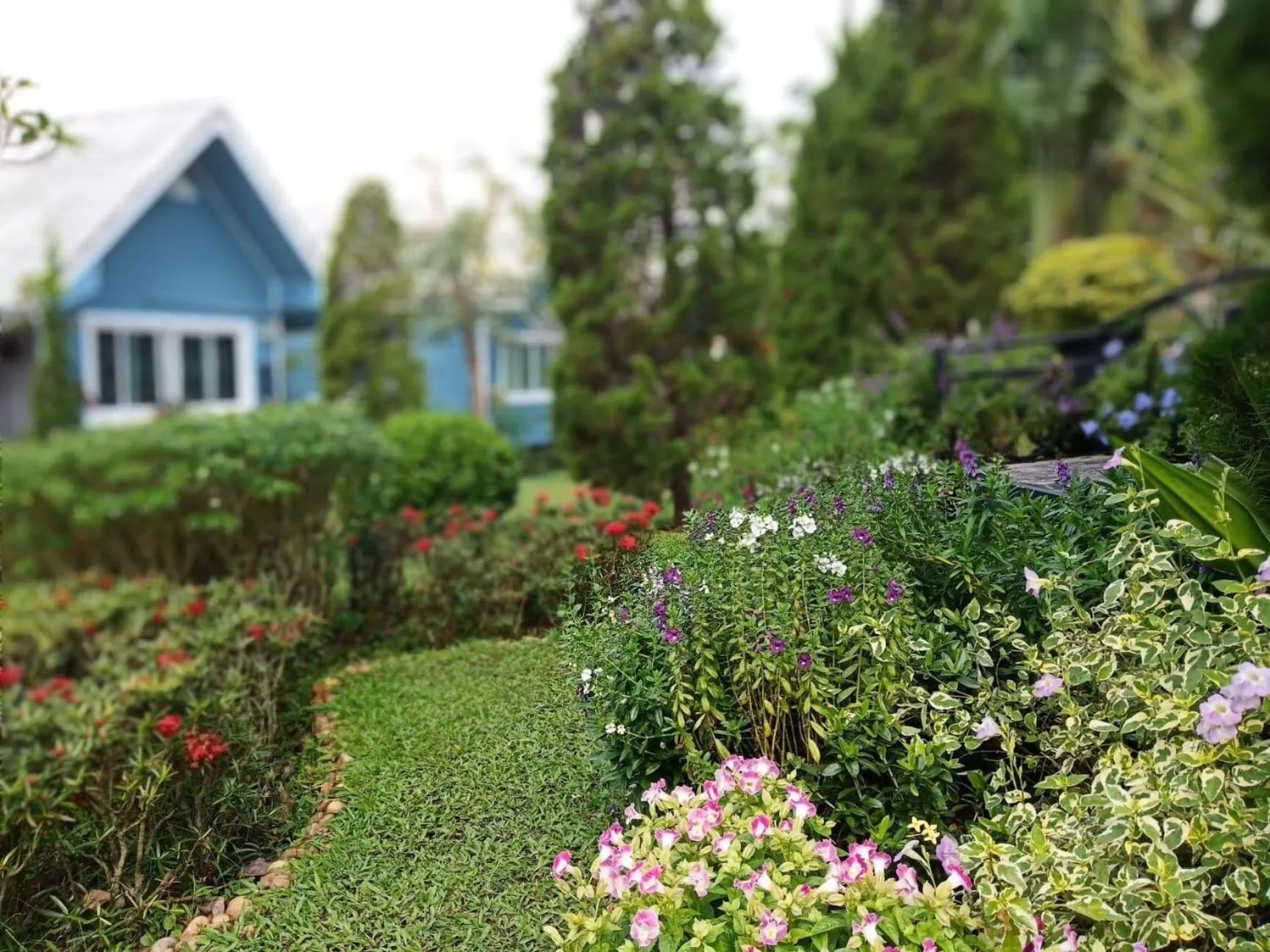 Baan JaoKorKluay บ้านเจ้ากอกล้วย