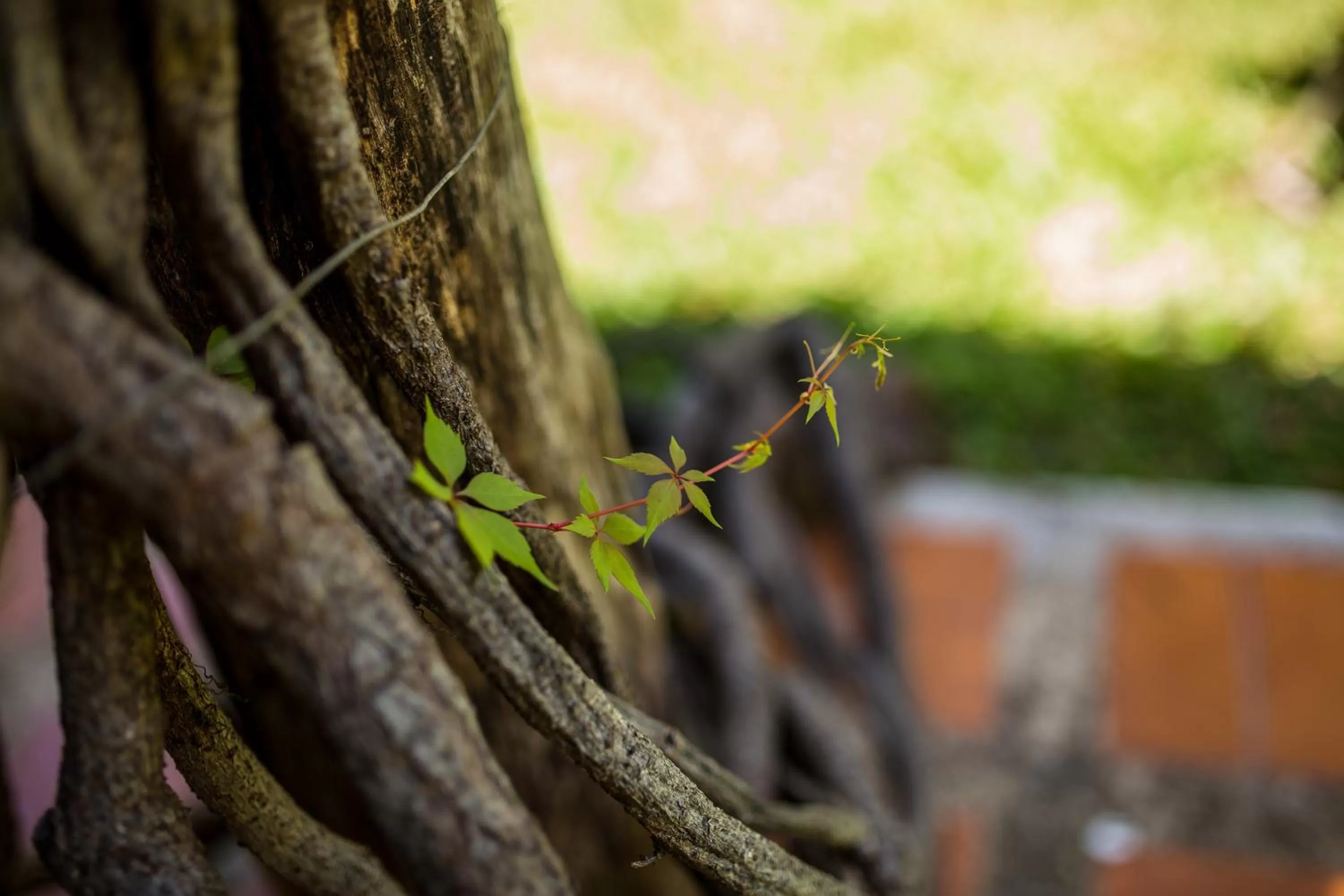 Casa Blanca Boutique & Organic