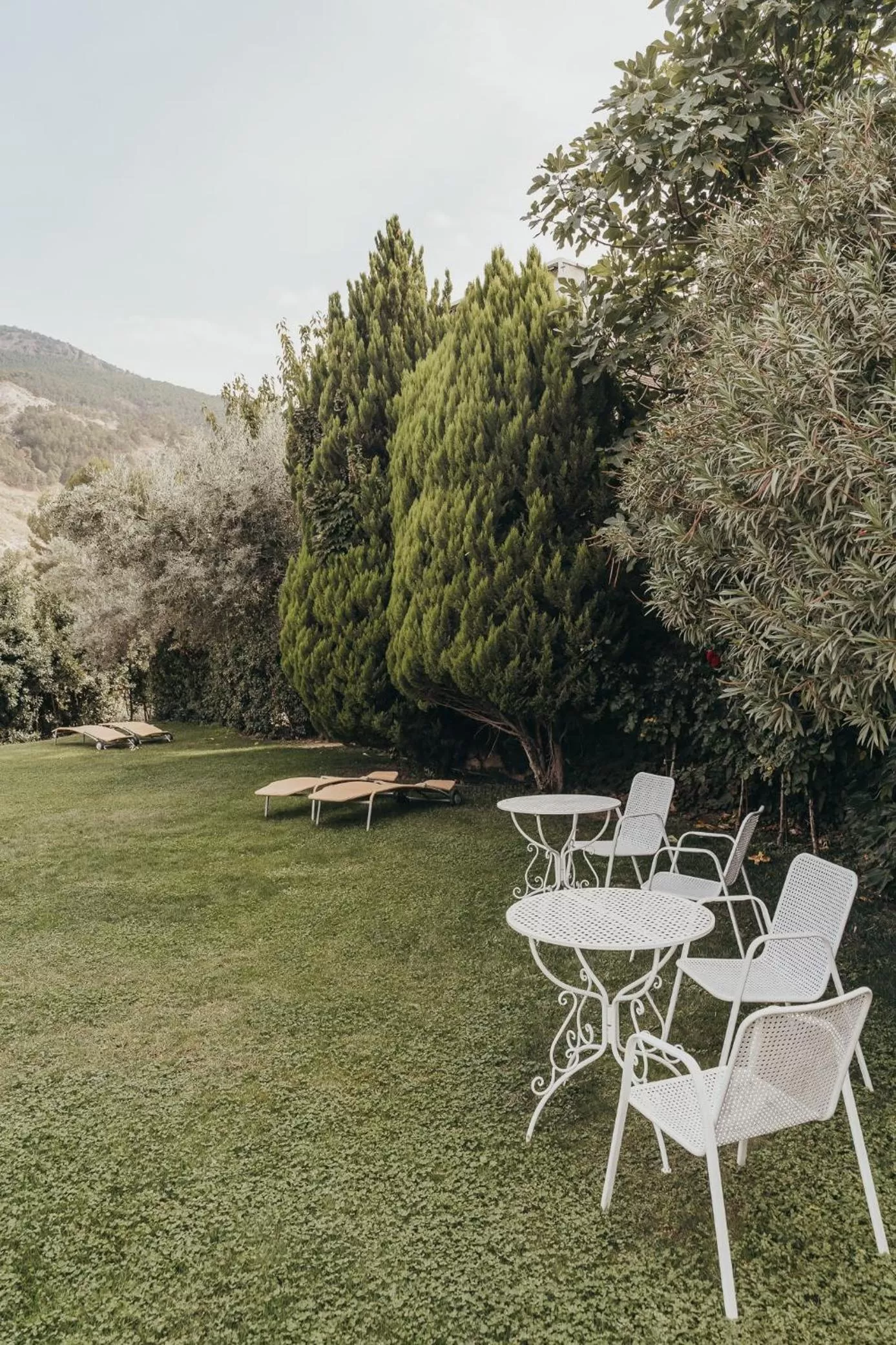 Garden in La Almunia del Valle