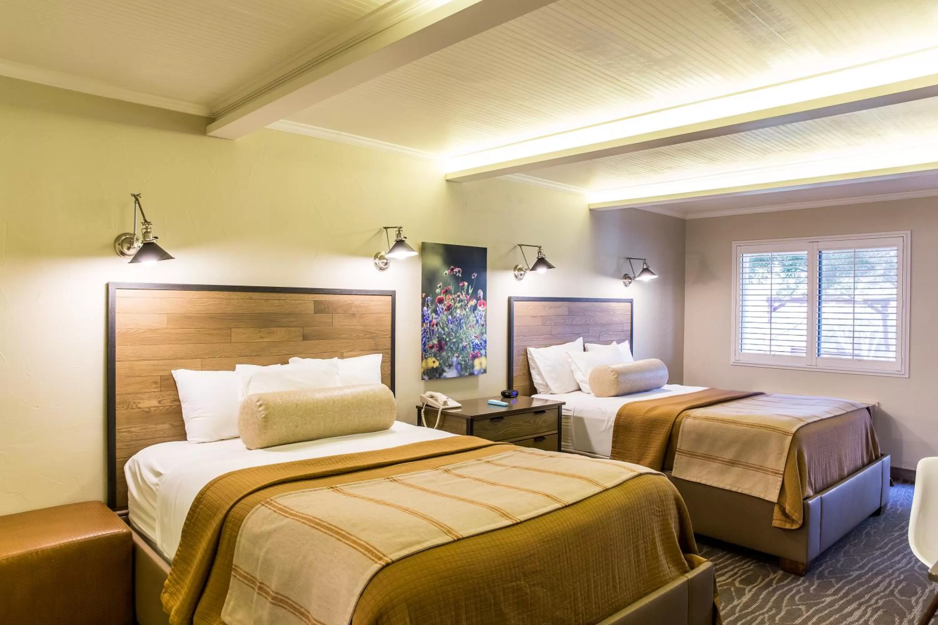 Photo of the whole room, Bed in Fredericksburg Inn and Suites