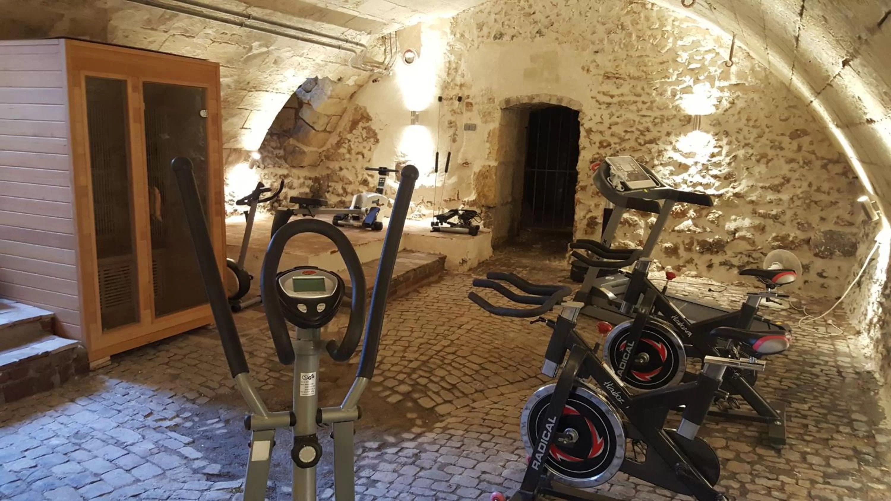 Fitness centre/facilities, Fitness Center/Facilities in Chateau de Jallanges - Les Collectionneurs