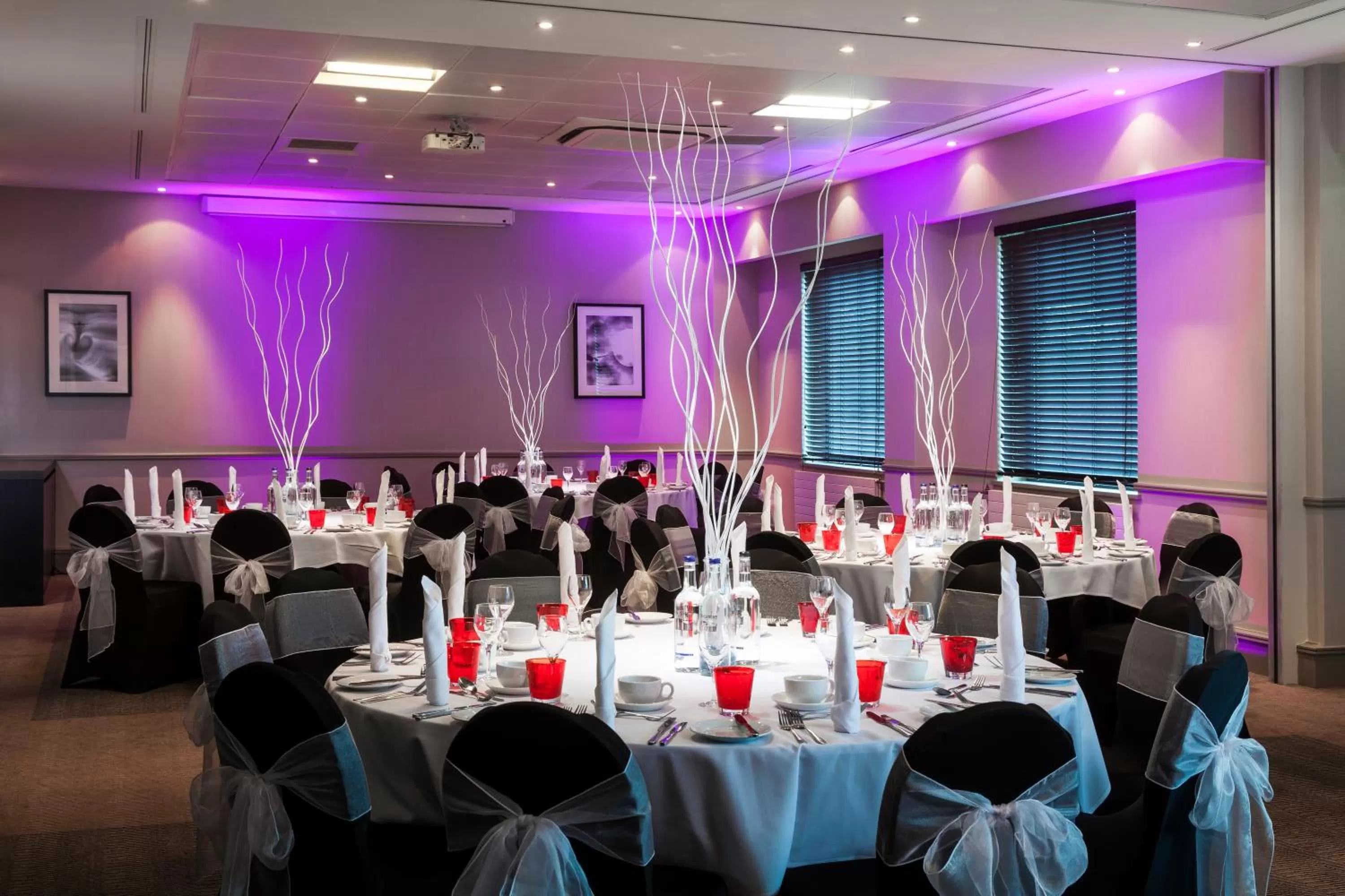 Banquet/Function facilities in Crowne Plaza Birmingham NEC by IHG