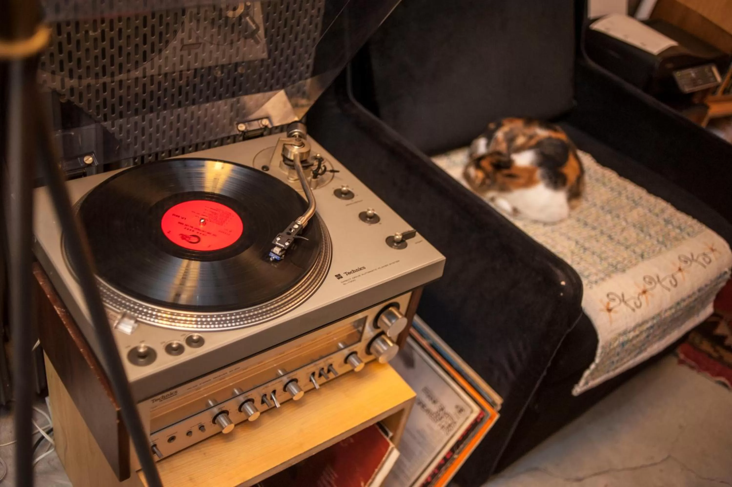 Decorative detail in Peradays