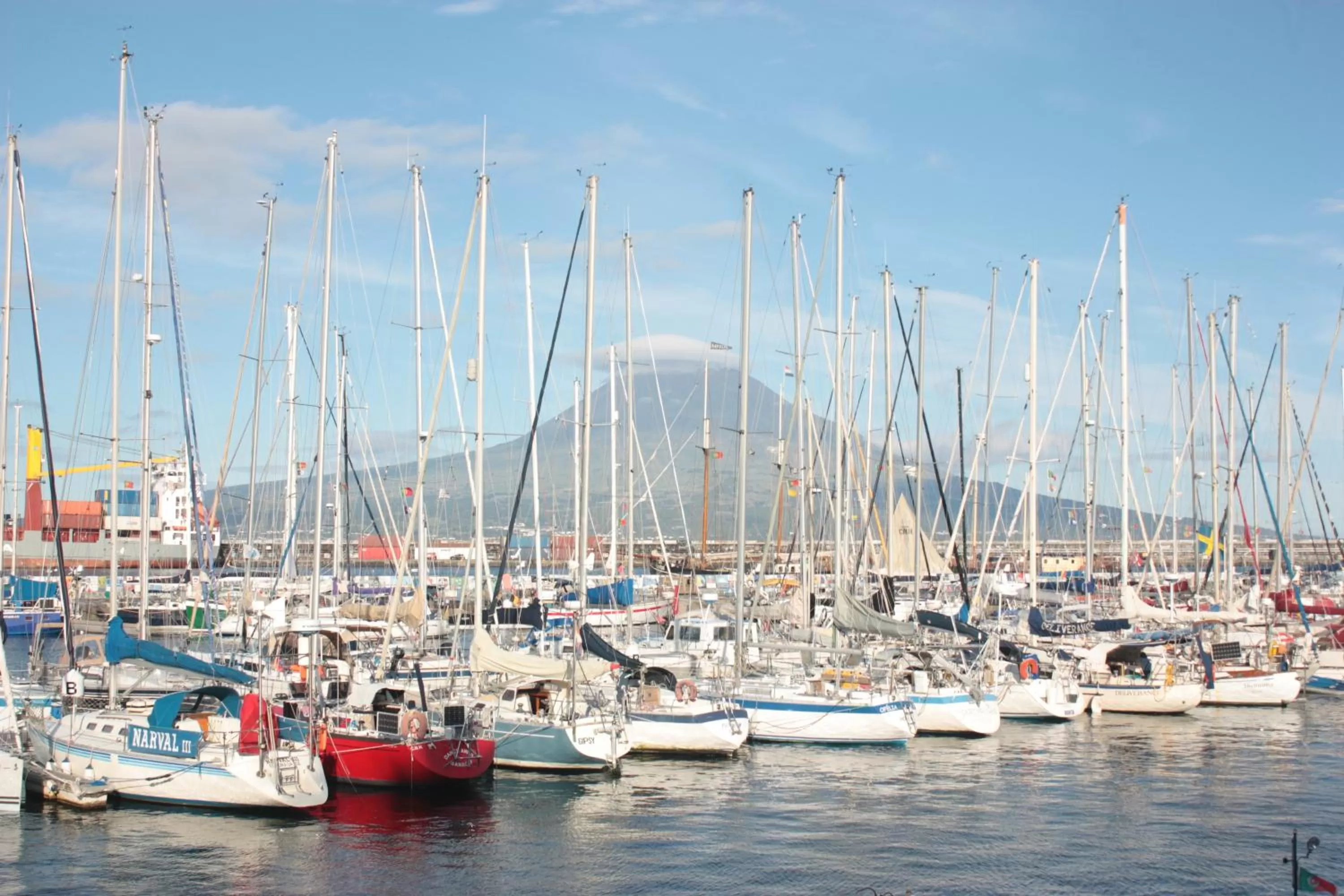 Area and facilities in Faial Marina Apartments 1