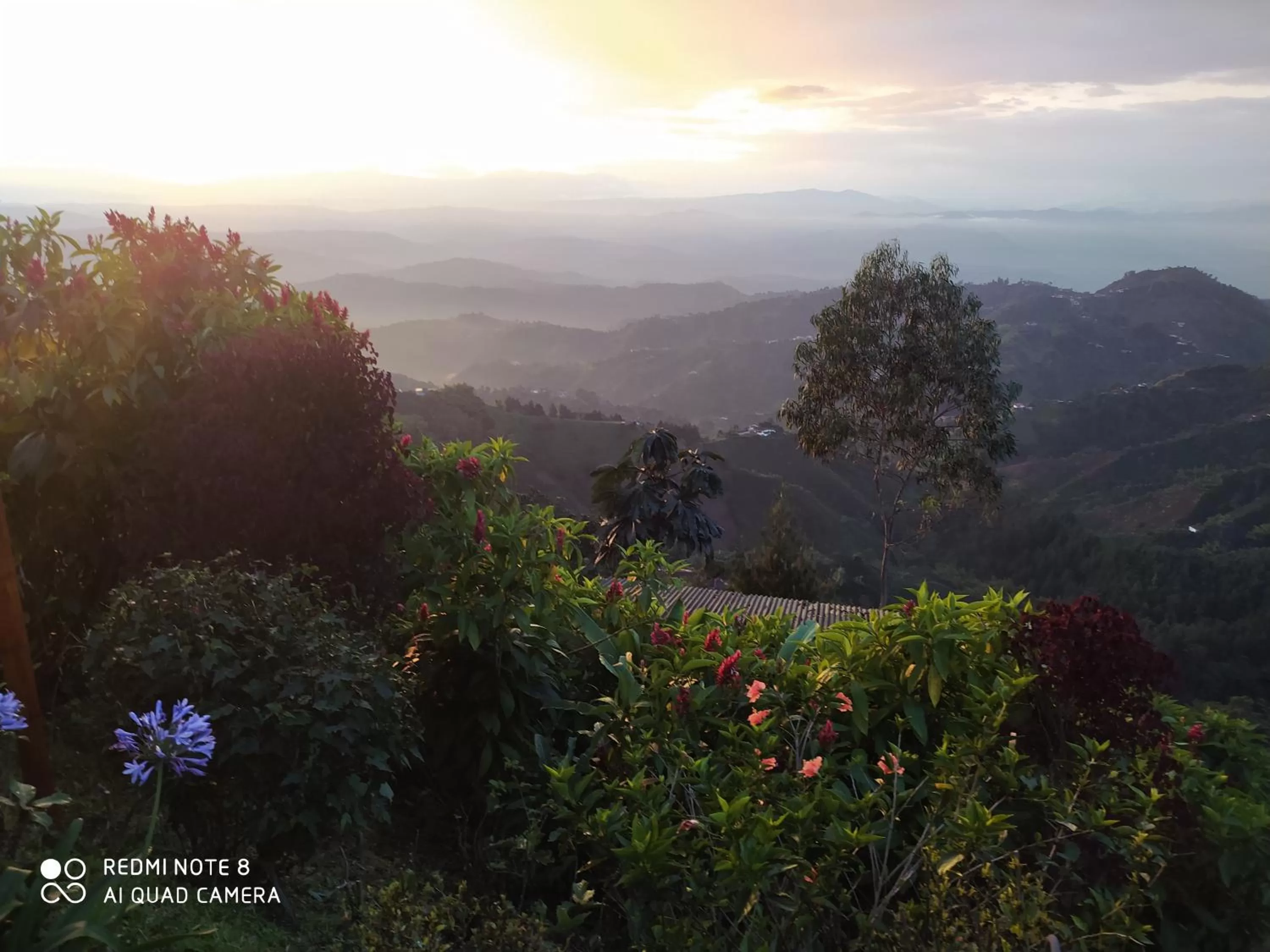Mirador Finca Morrogacho