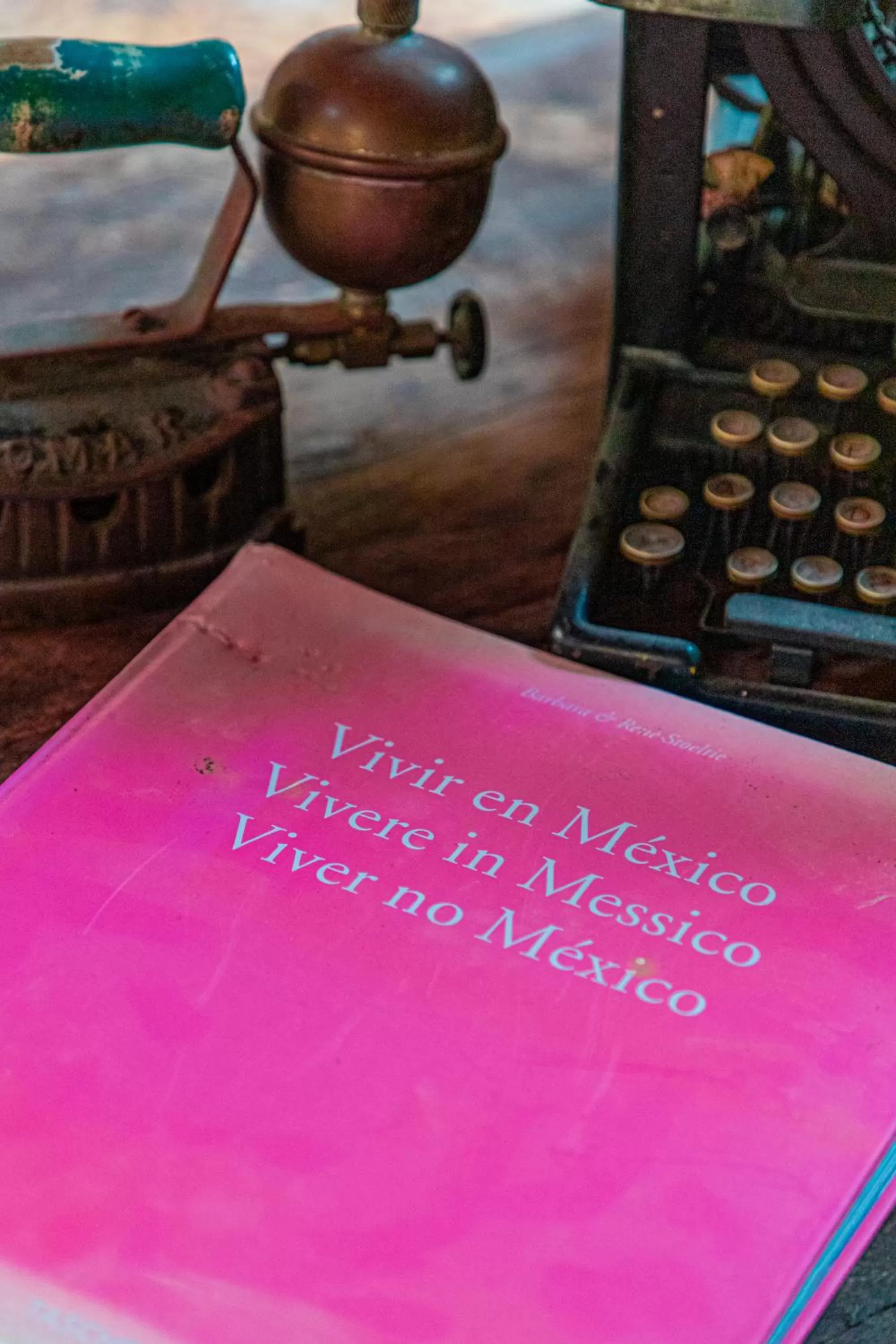 Decorative detail in Alma de Zorro