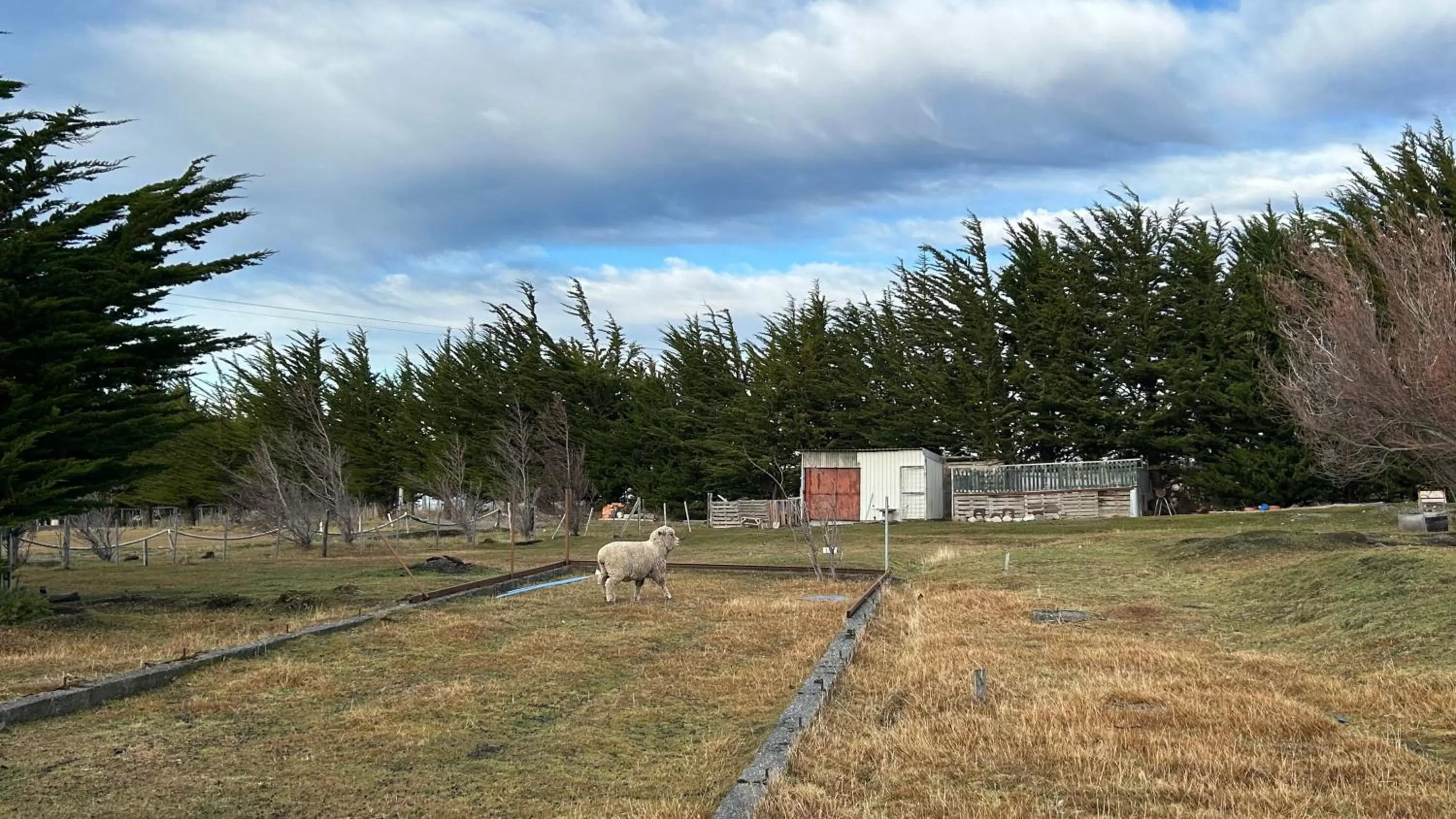 Hospedaje Isla Magdalena