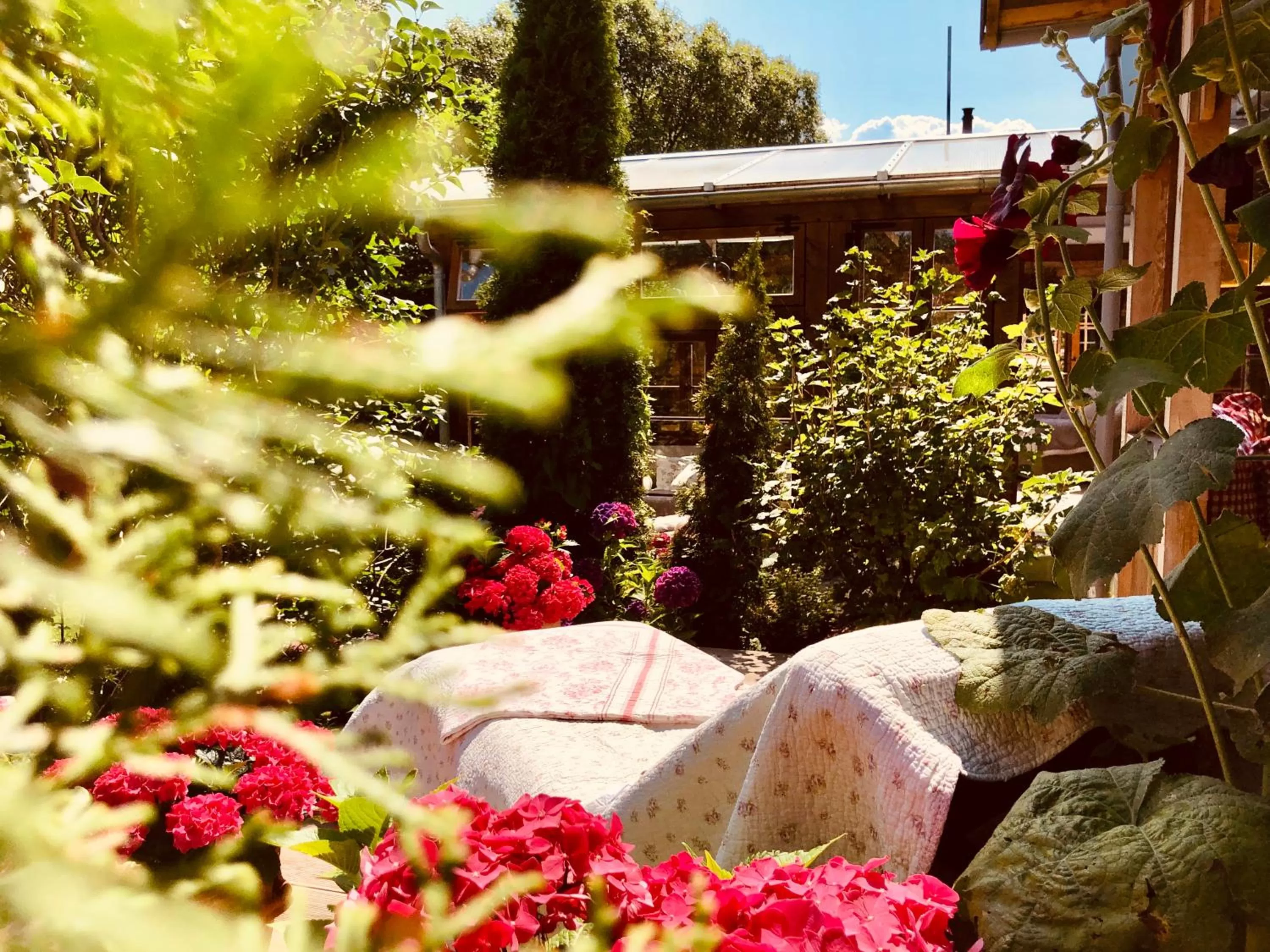 Balcony/Terrace, Garden in Weißt Du noch - Gästehäuser & Suiten