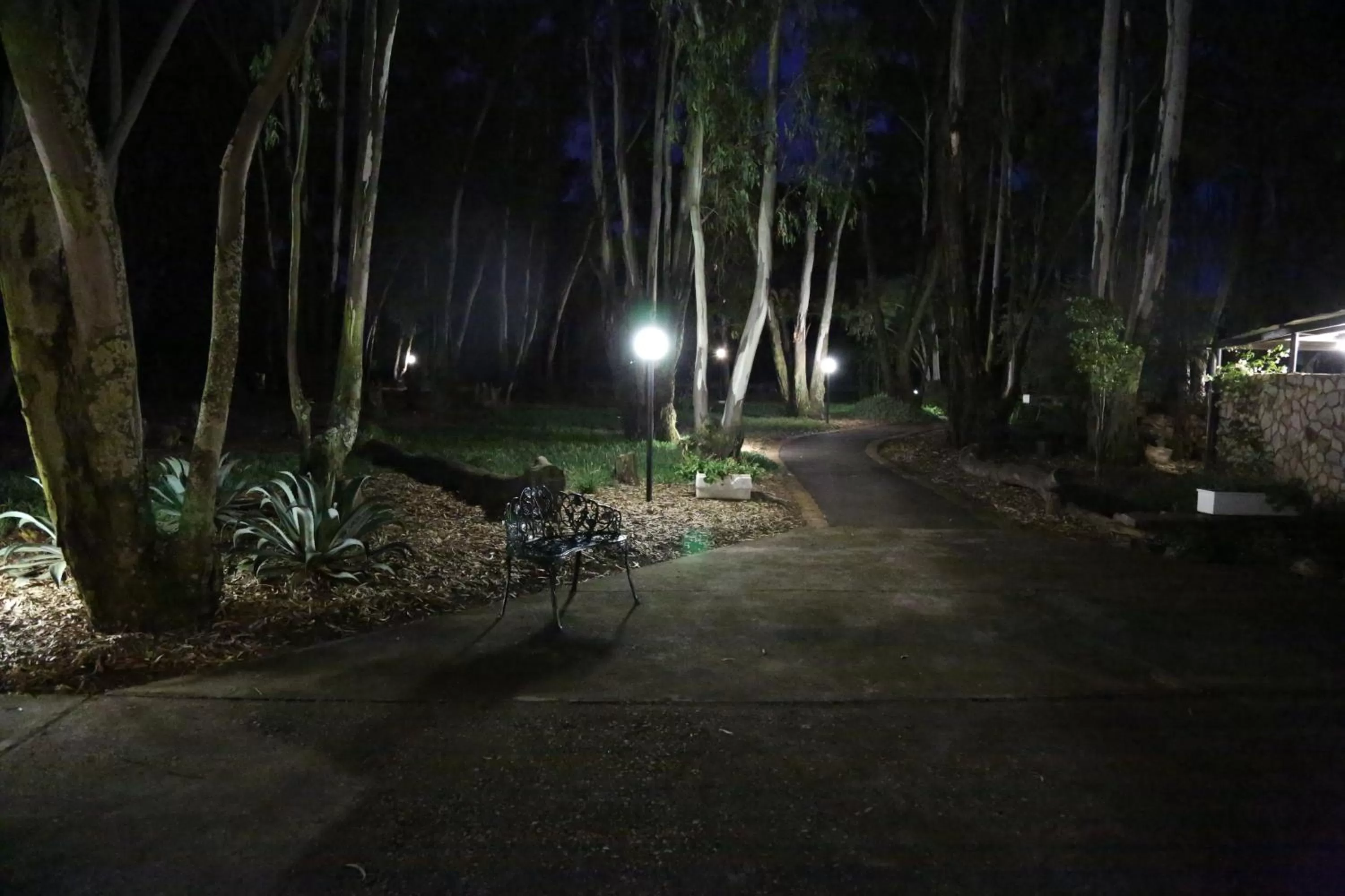 Garden in The Highveld Cape Inn