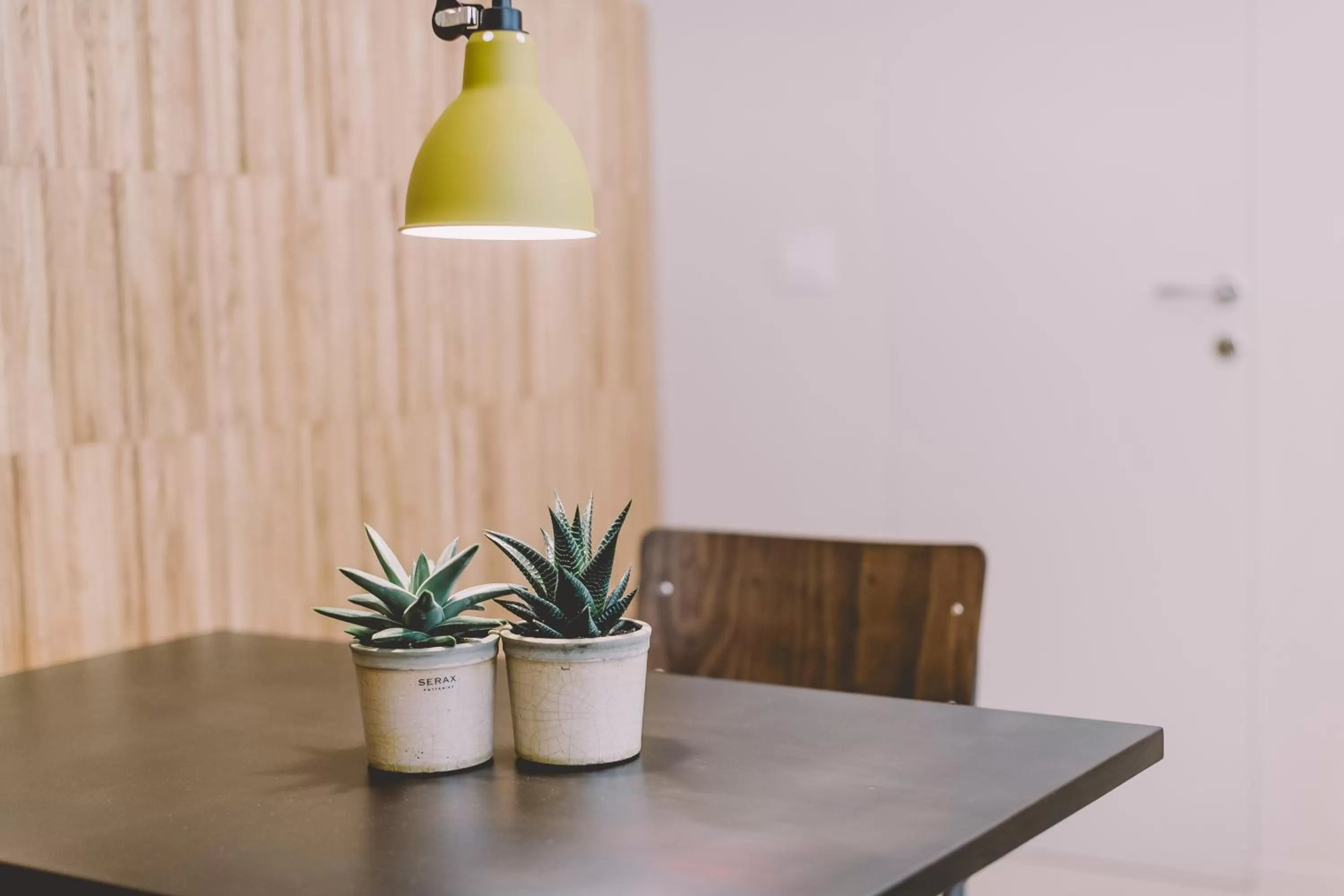 Decorative detail in Cinquevite