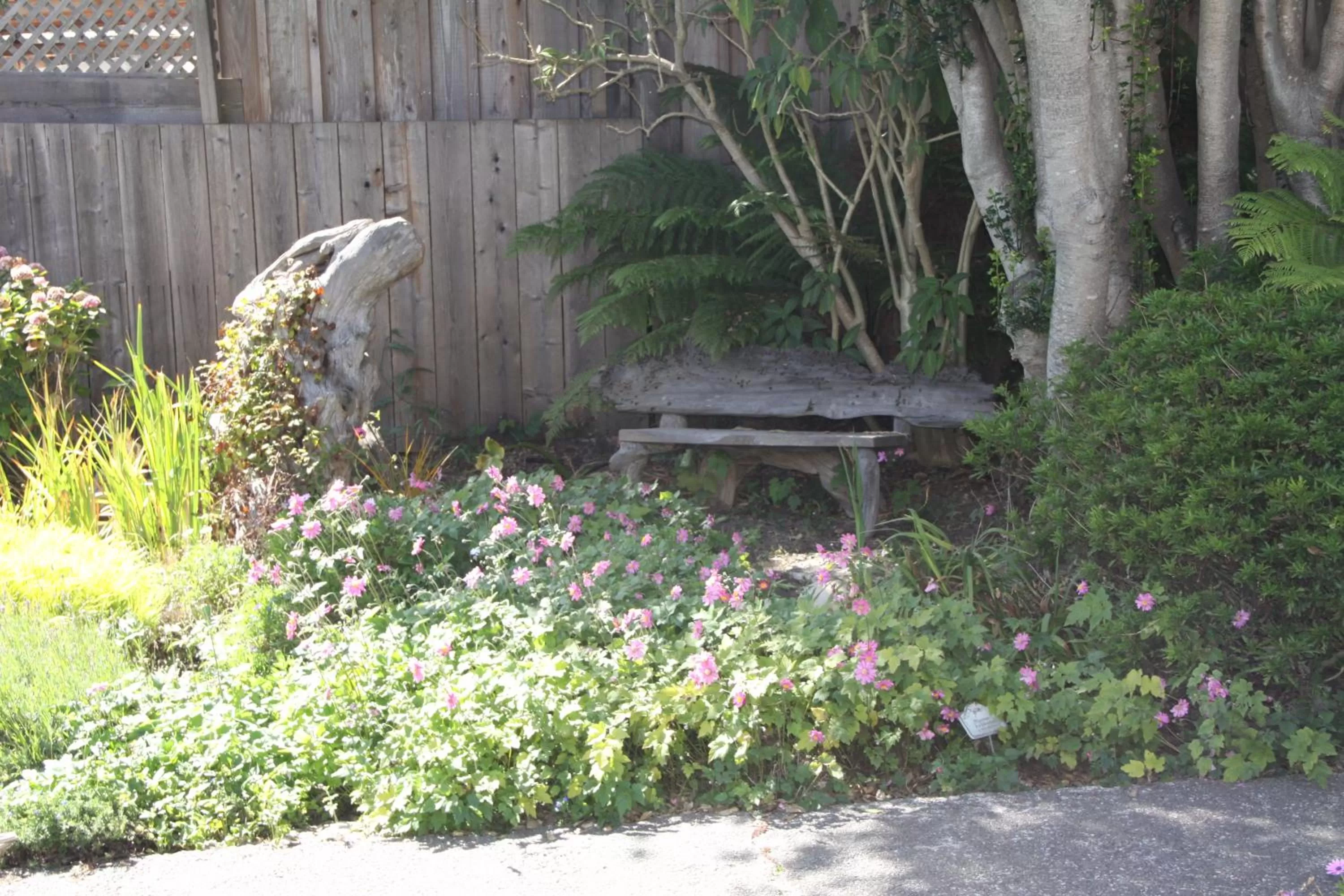 Garden in Seagull Inn Bed & Breakfast