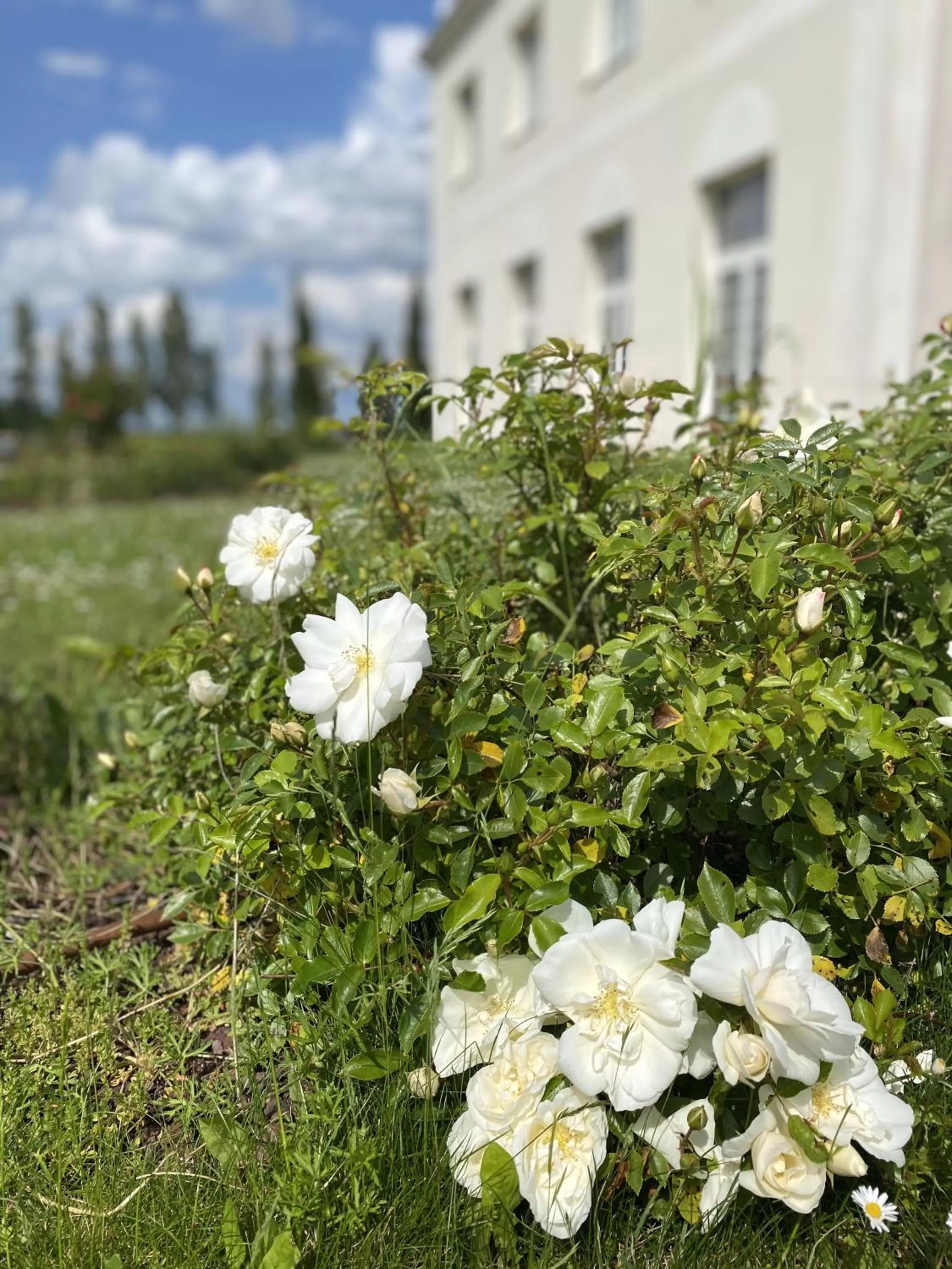 Garden in Résidence Villa Bellagio Amboise by Popinns