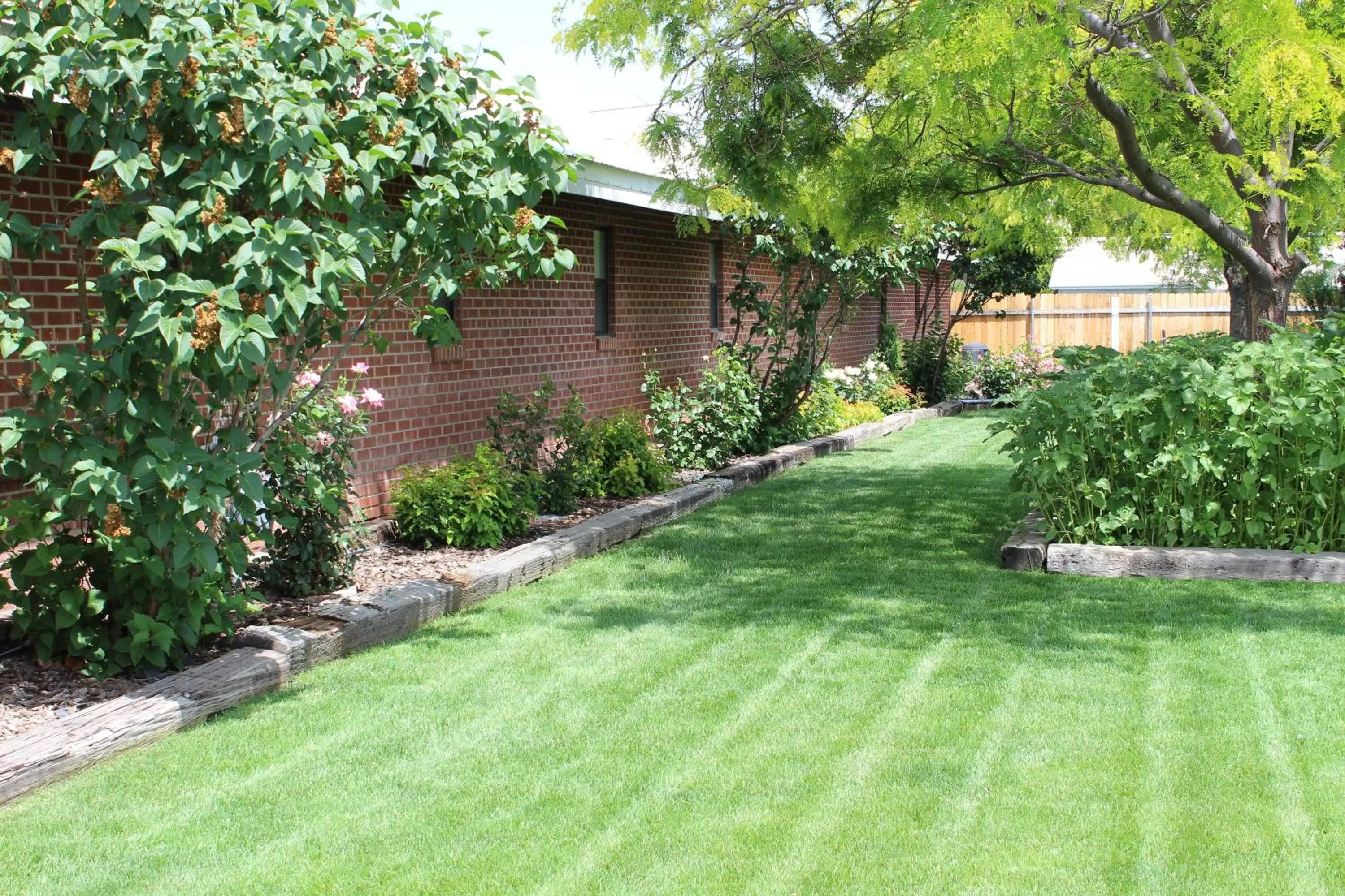 Area and facilities, Garden in Ontario Inn