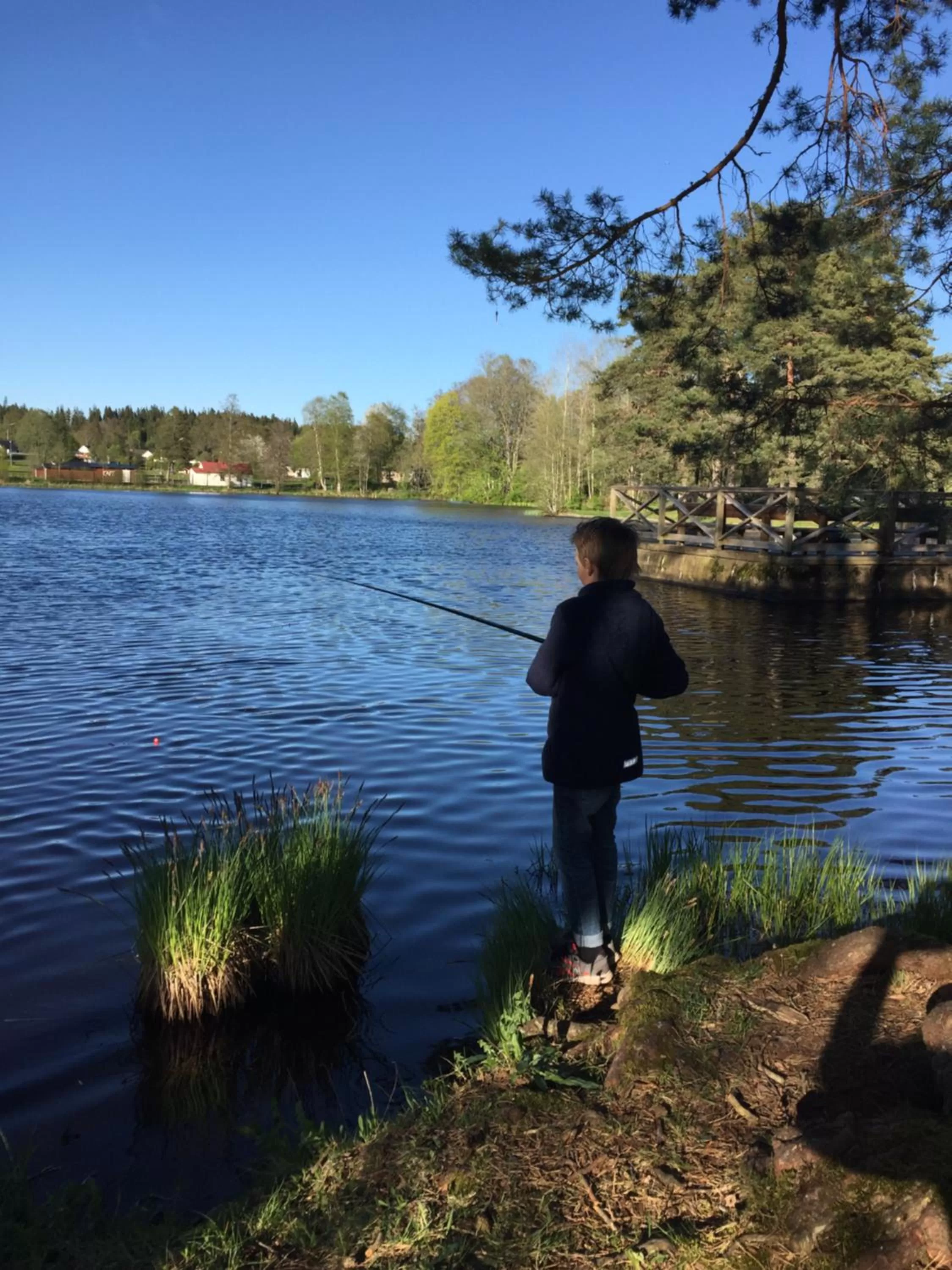 Fishing, River View in KvarnDammens Bed & Breakfast