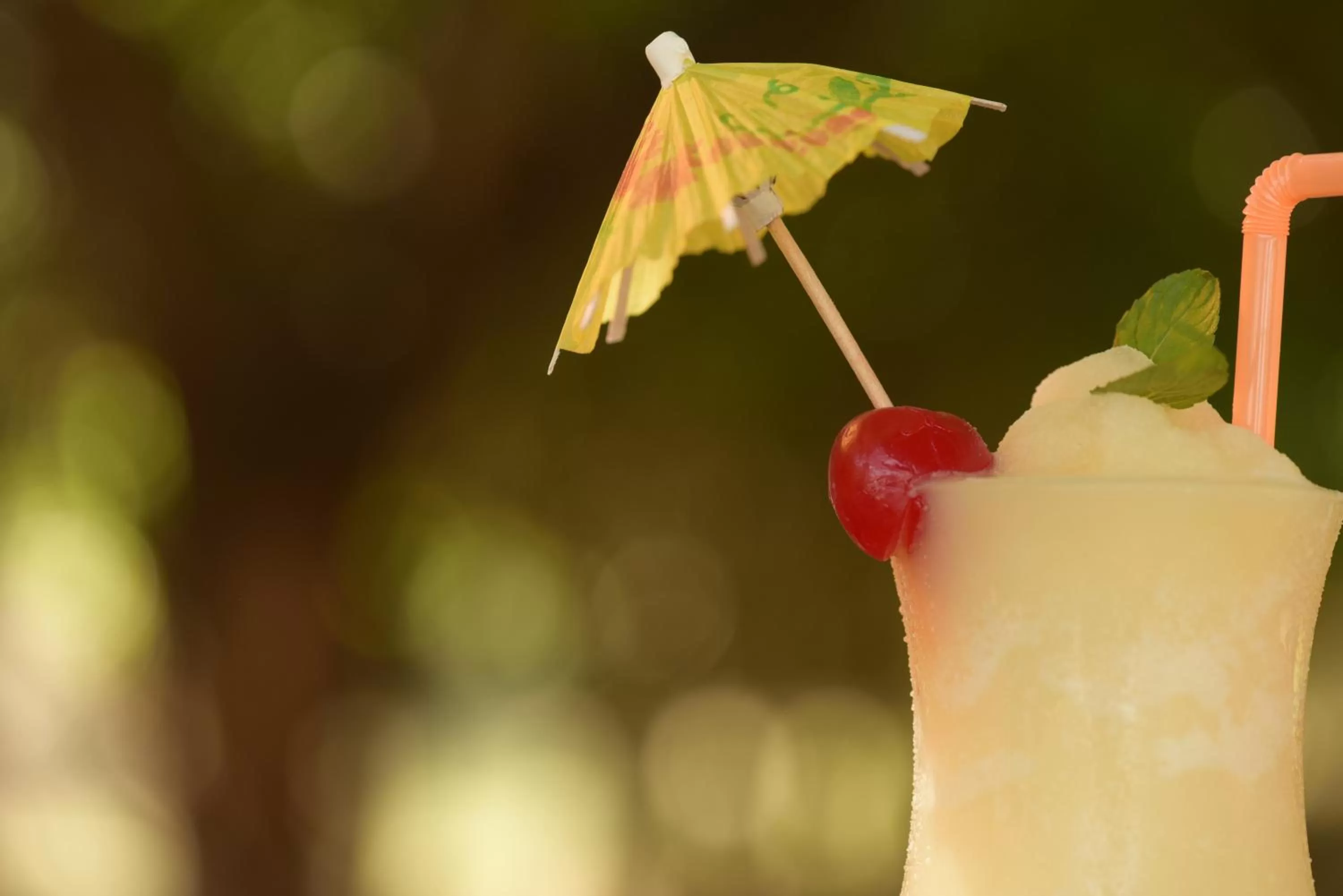 Alcoholic drinks in Hotel de Campo Villa de Ada