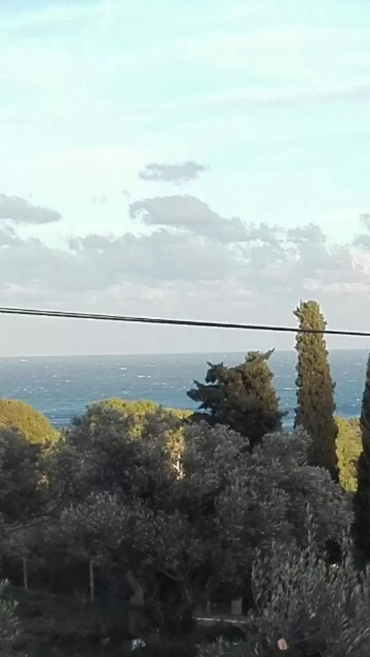 Natural landscape in Hostal Ondina