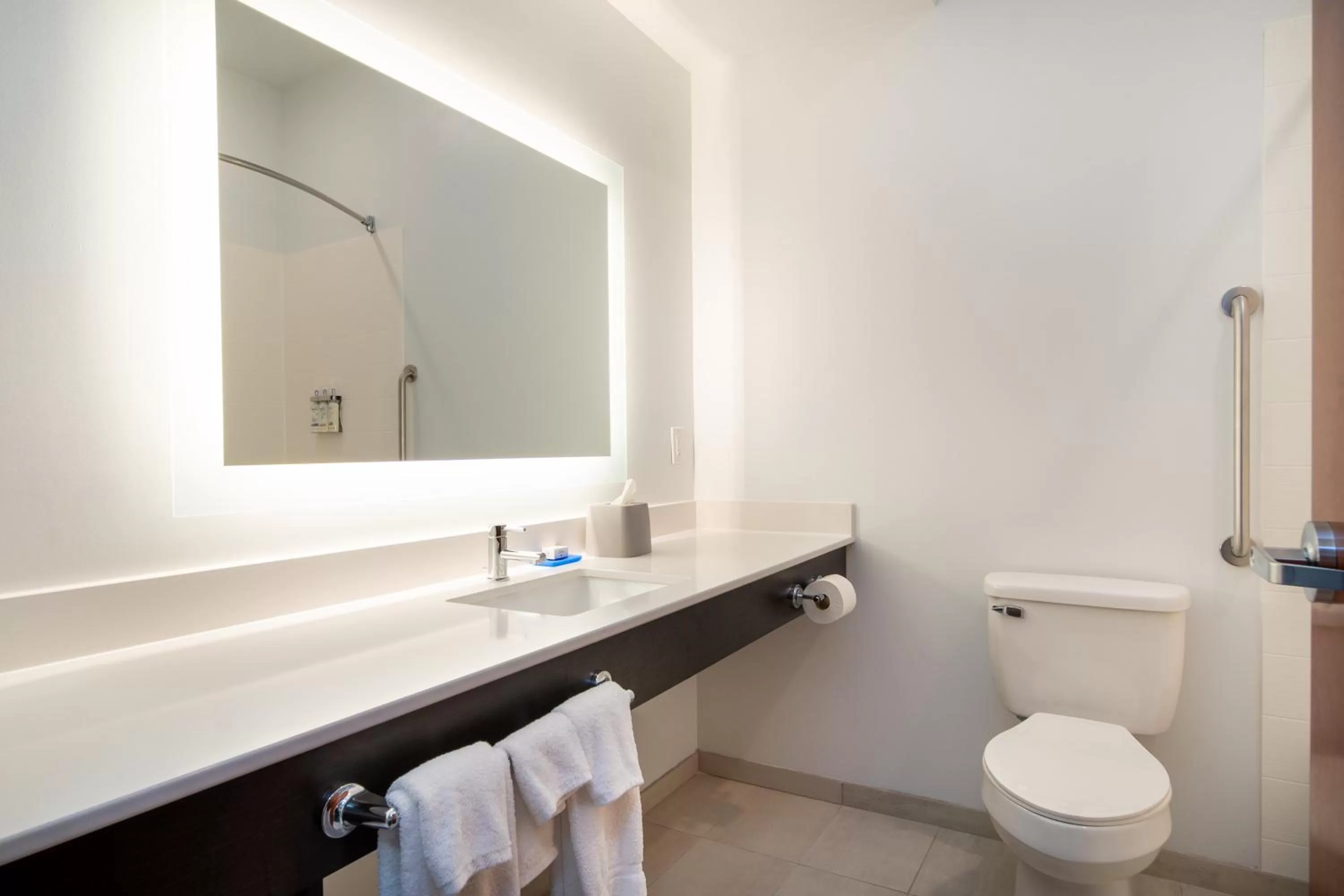 Bathroom in Holiday Inn Express Hotel & Suites Bedford by IHG