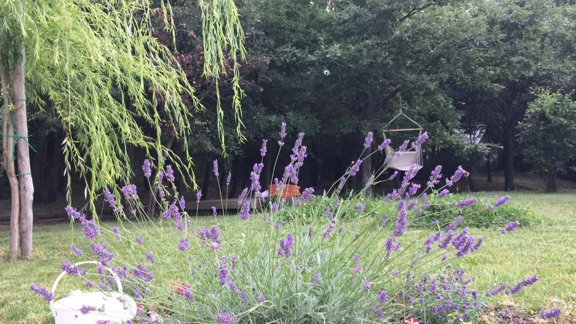 Garden in VIENIACASACCADIA