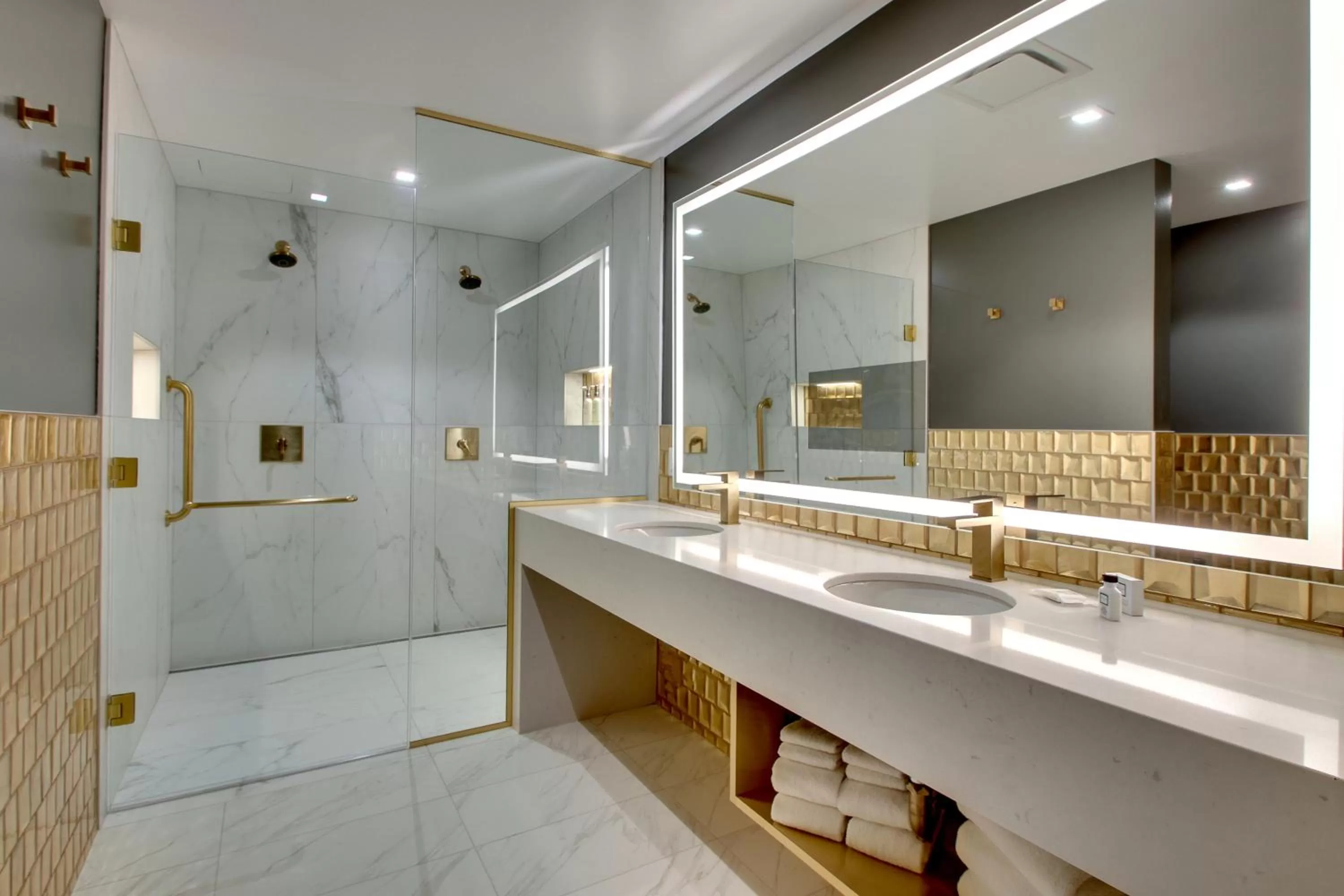 Shower in The Rose Chicago, Tapestry Collection By Hilton