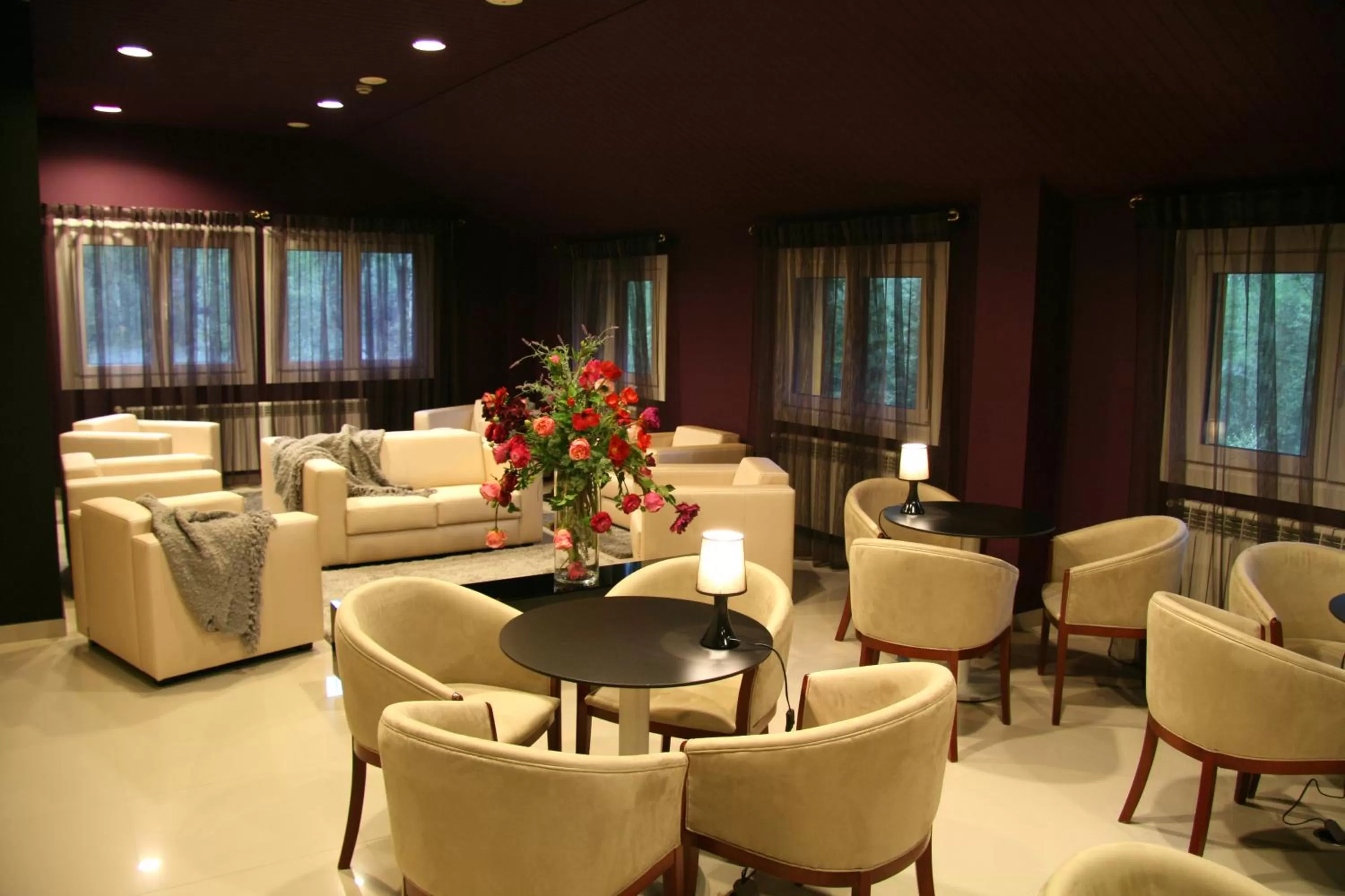 Lounge or bar in Hotel & SPA Bringué