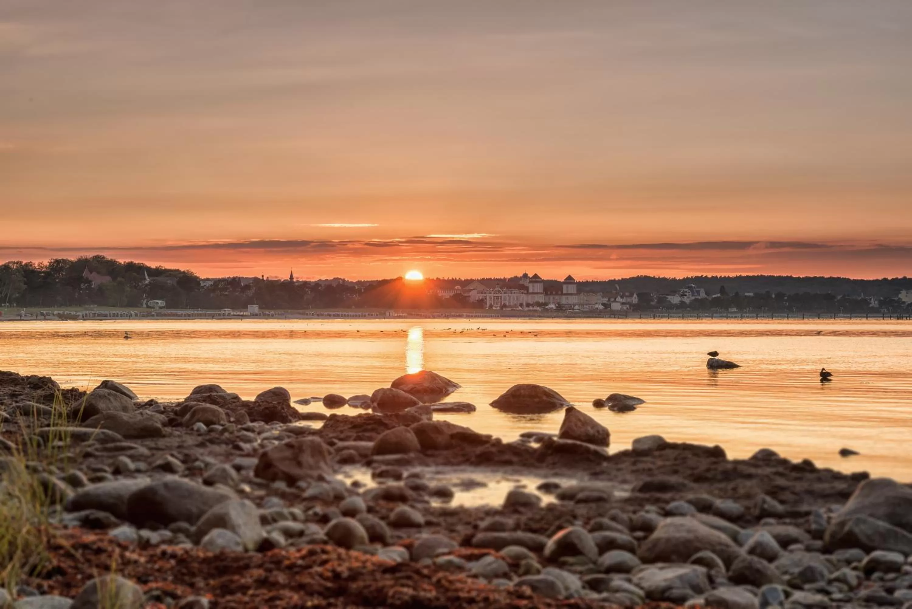 Beach in Hotel Villa Belvedere