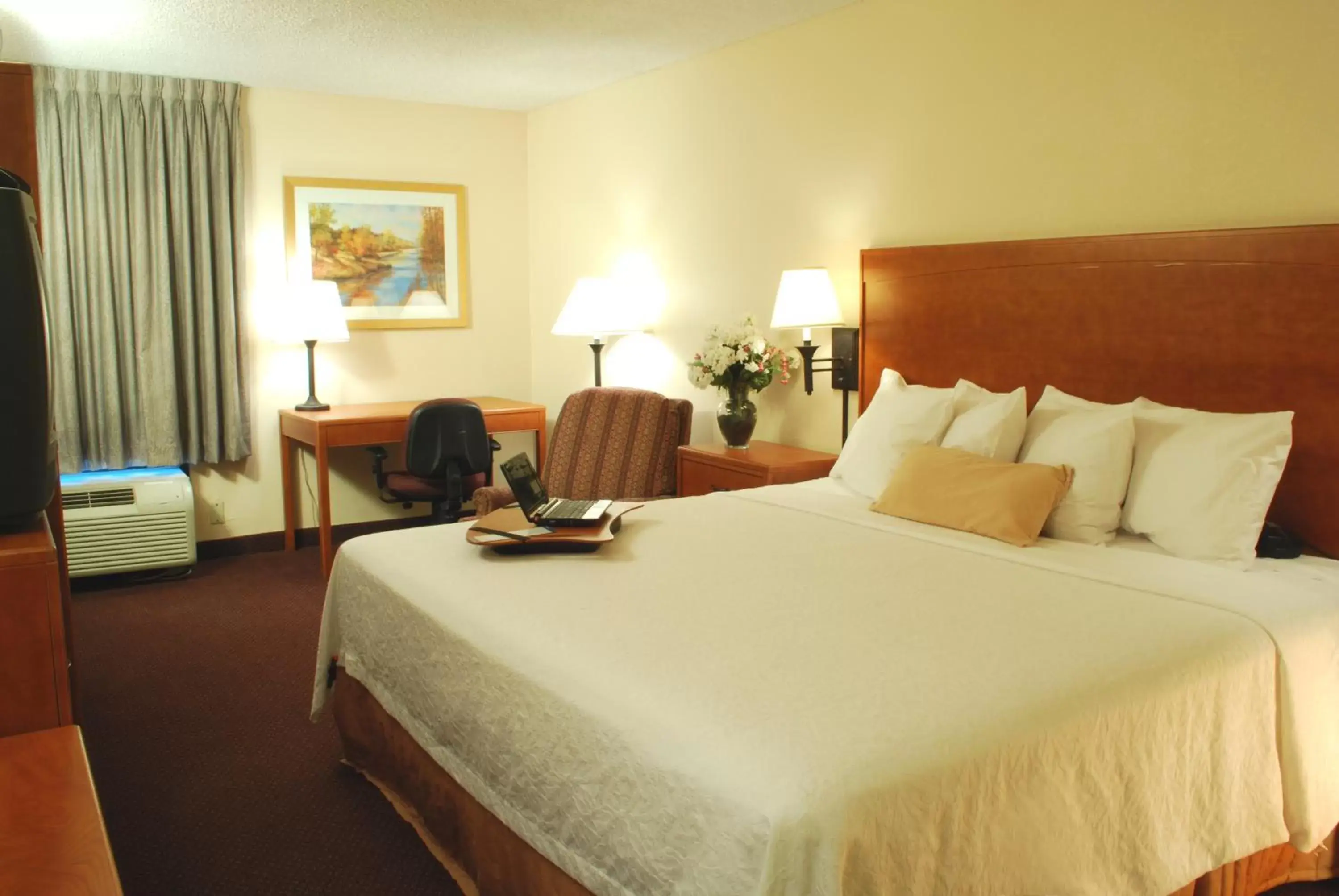 Double Room with Tub - Mobility Accessible/Non-Smoking in Hampton Inn Tampa International Airport/Westshore Double Room with Tub - Mobility Accessible/Non-Smoking in Hampton Inn Tampa International Airport/Westshore