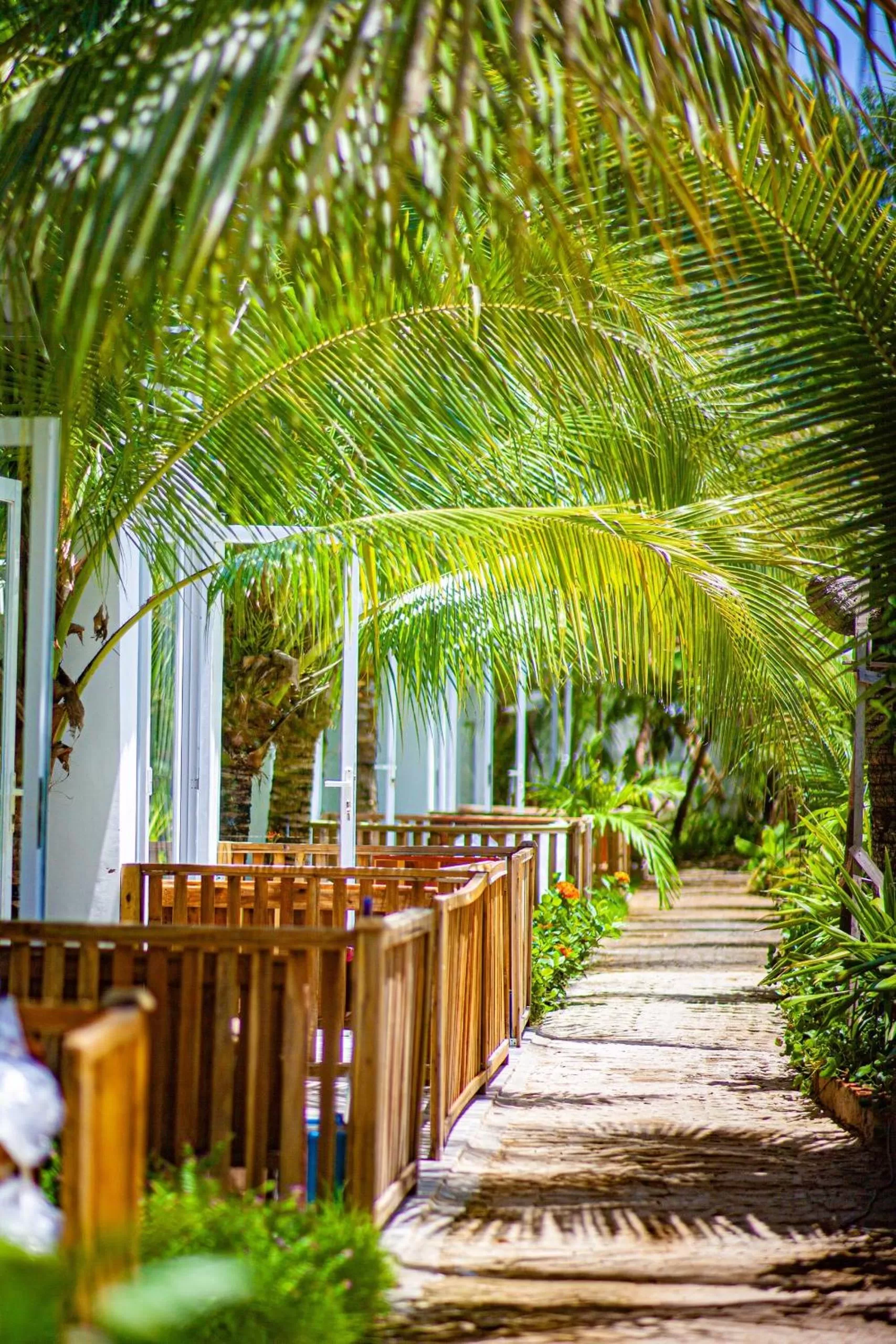 Spring in Hoang Phuc resort