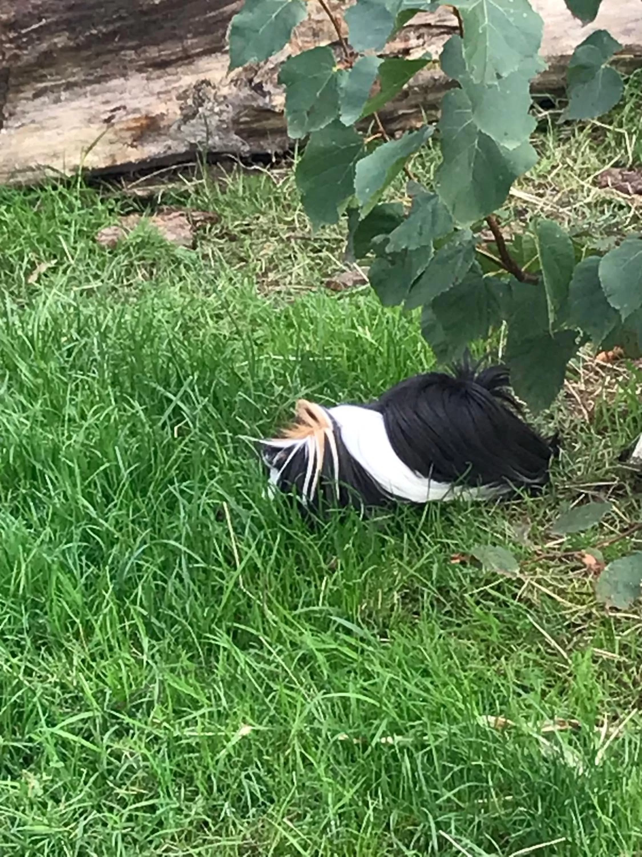 Chez Gustave & Compagnie