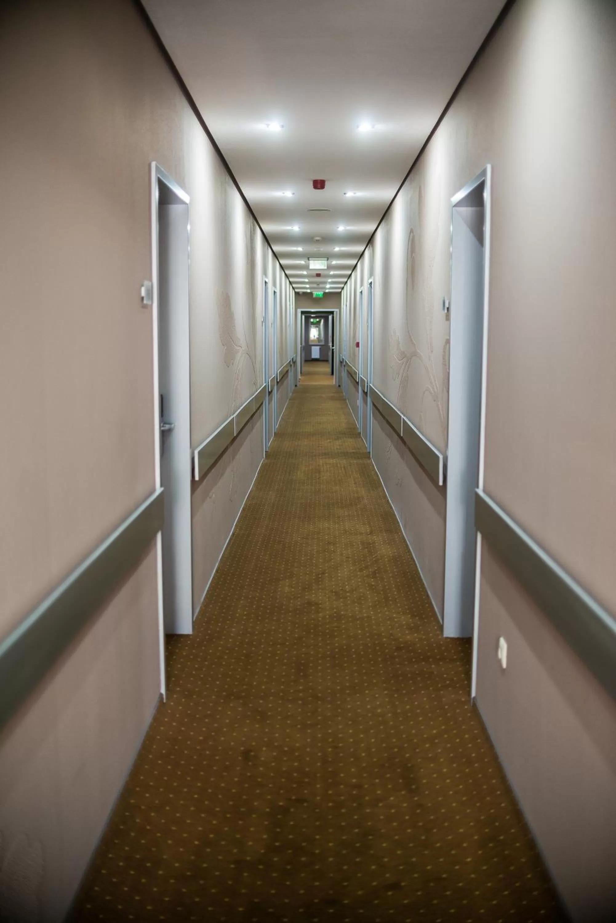 Decorative detail in Hotel Fürdőház