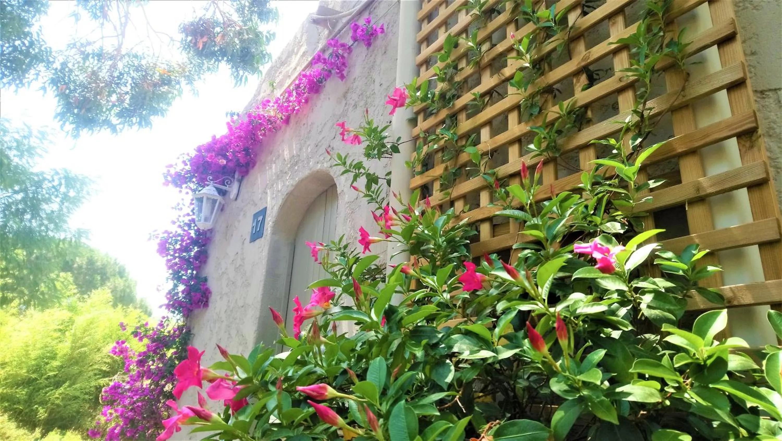 Garden in Les Jardins de Bormes, hôtel adult only avec sauna & jacuzzi