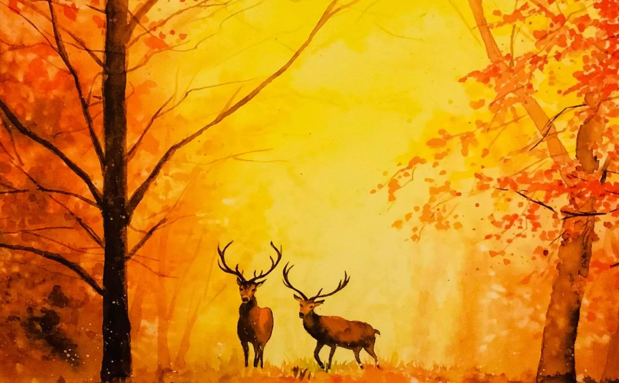 Other Animals in All Seasons Bed & Breakfast - Adults Only