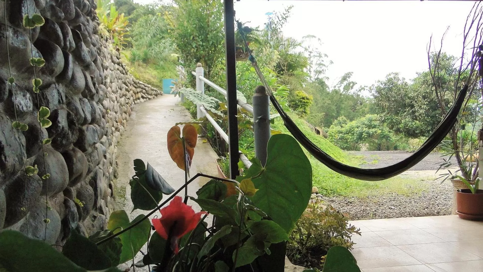 Garden in Hosteria Florecer