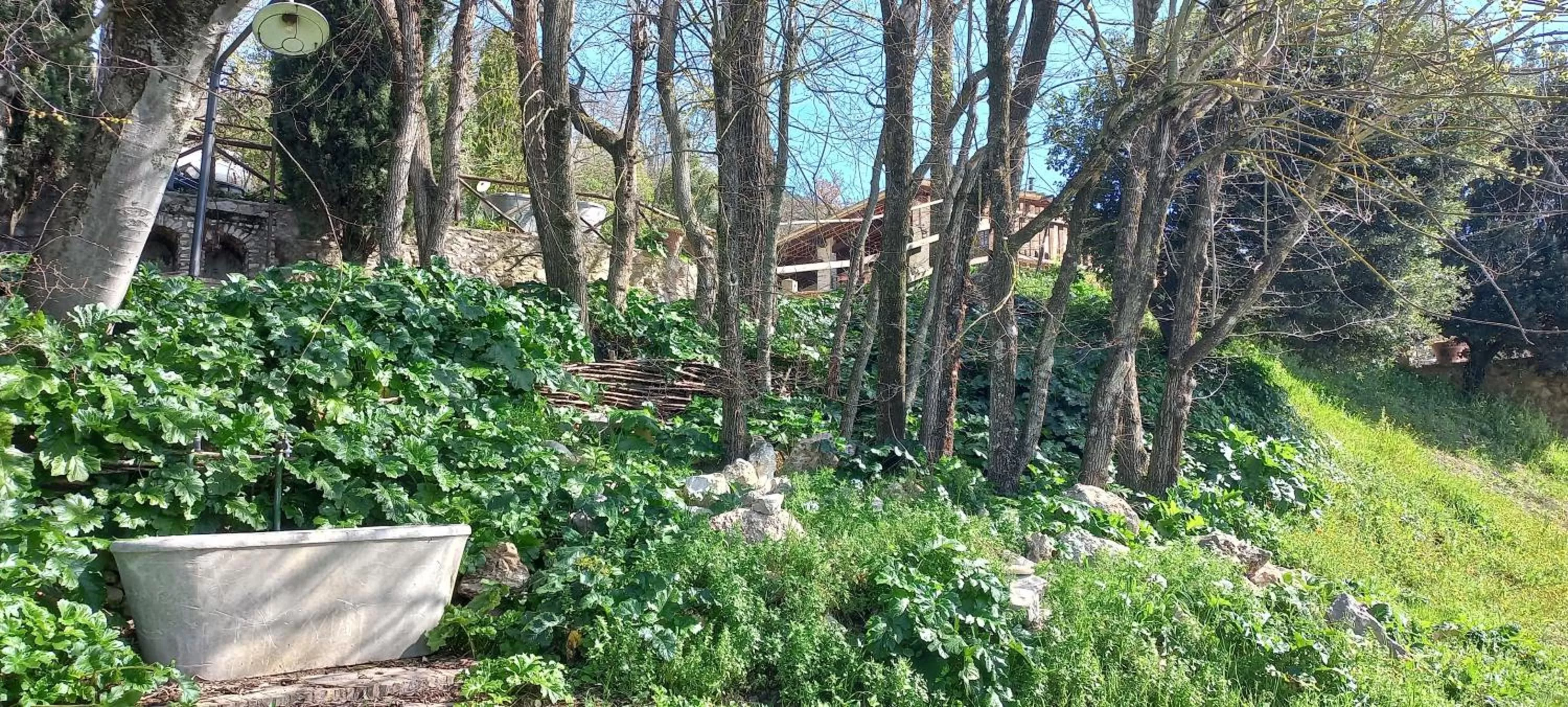 Domus Antiqua Bed & Breakfast