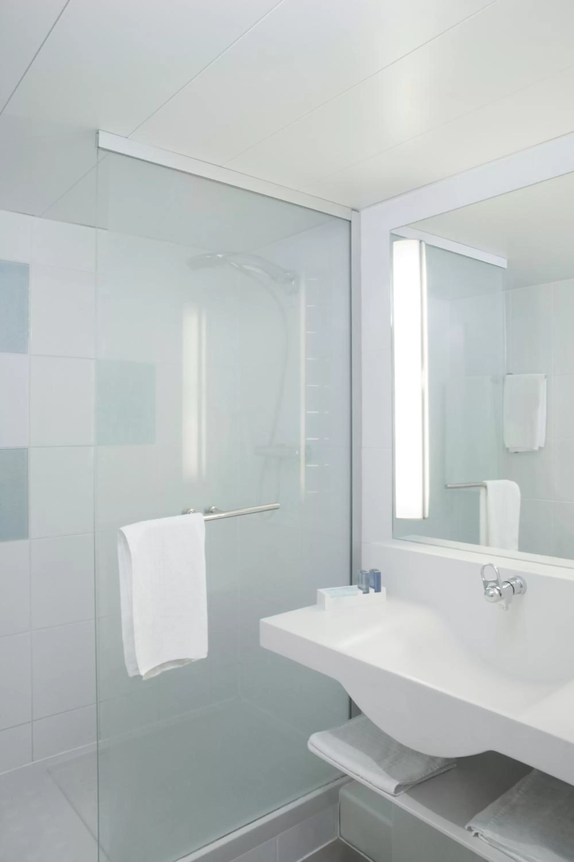 Bathroom in Novotel Mulhouse Bâle Fribourg
