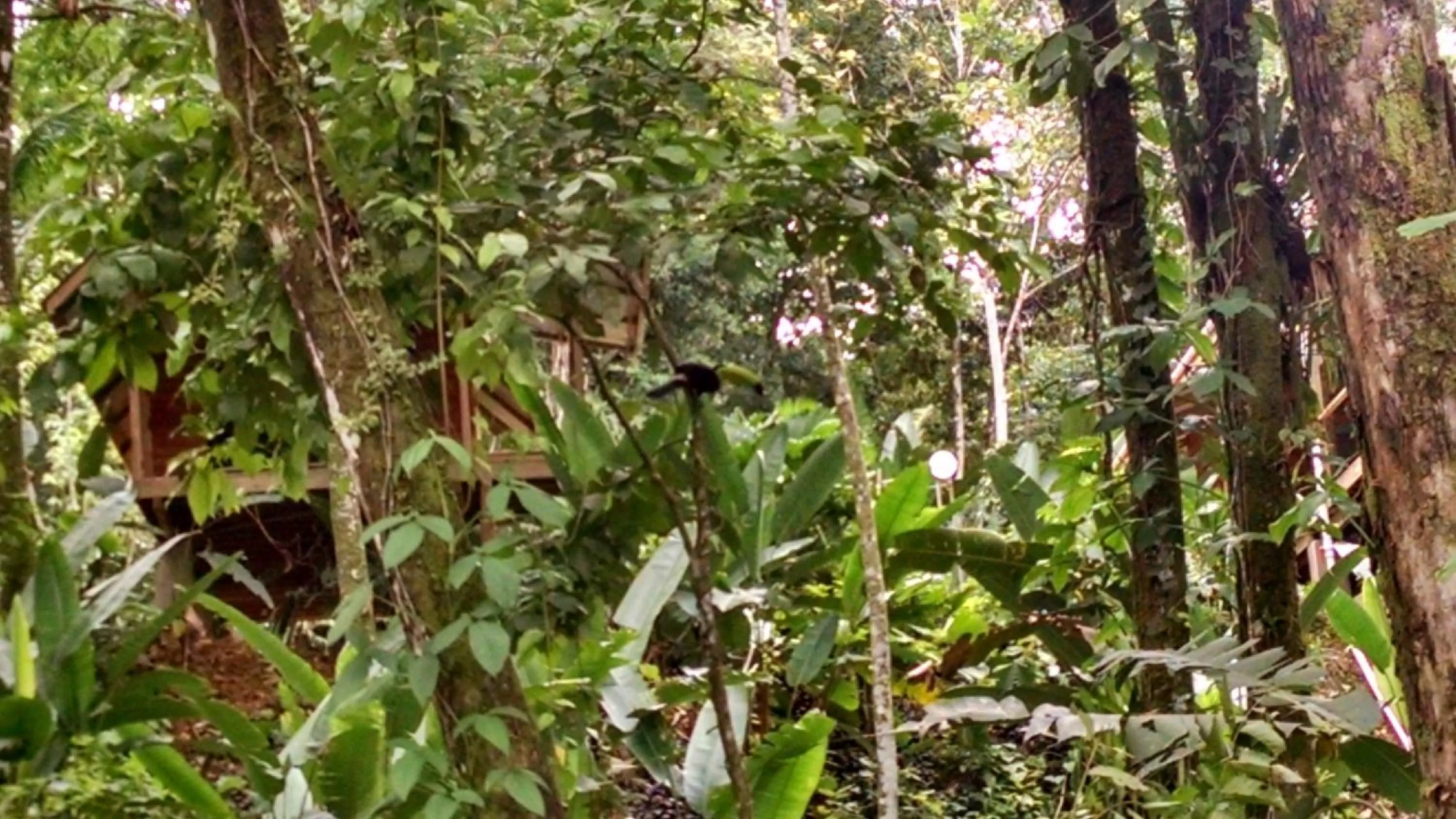 Day, Garden in Surf Break at Paunch