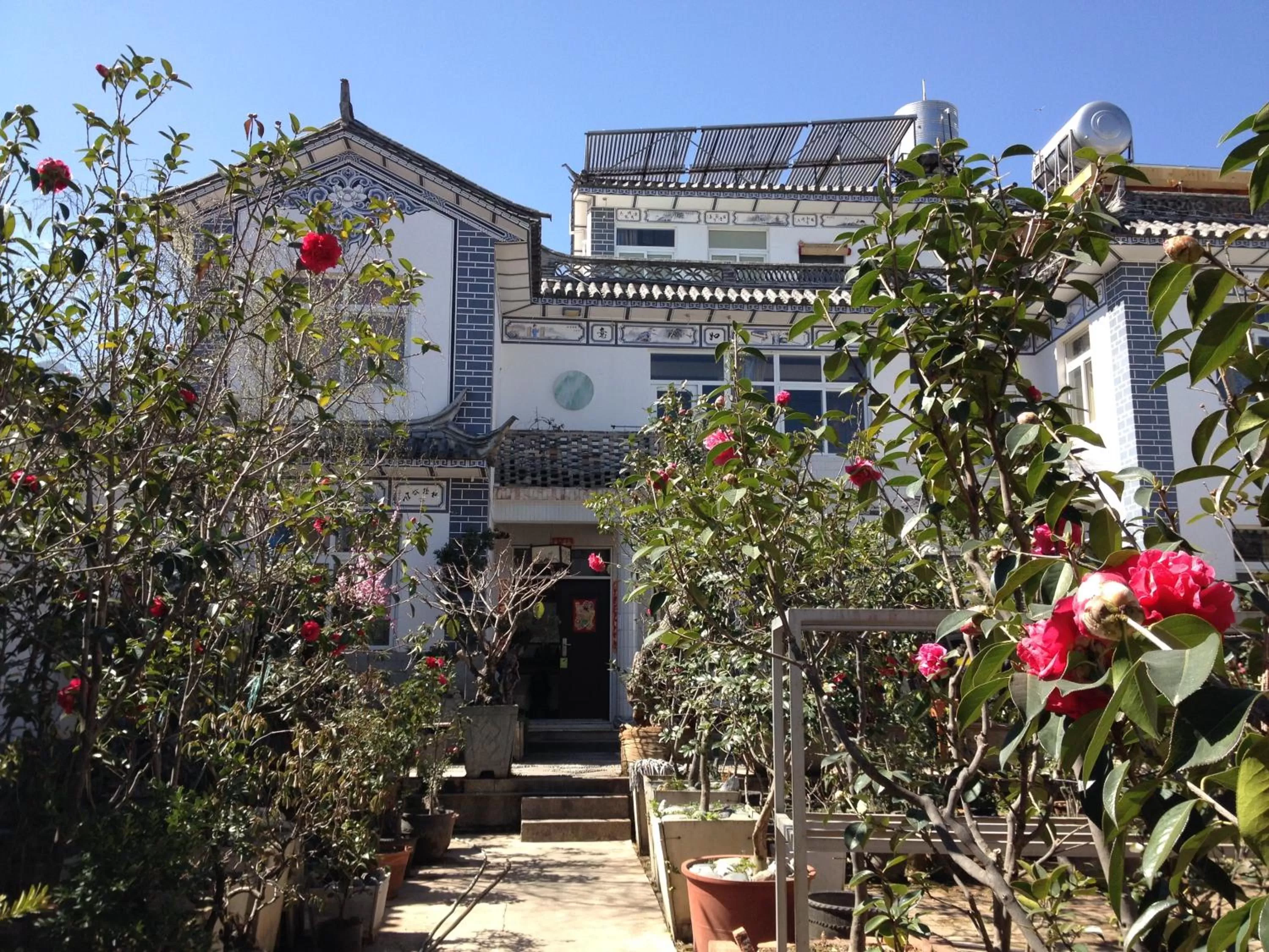 Spring, Property Building in The Lily Pad Inn